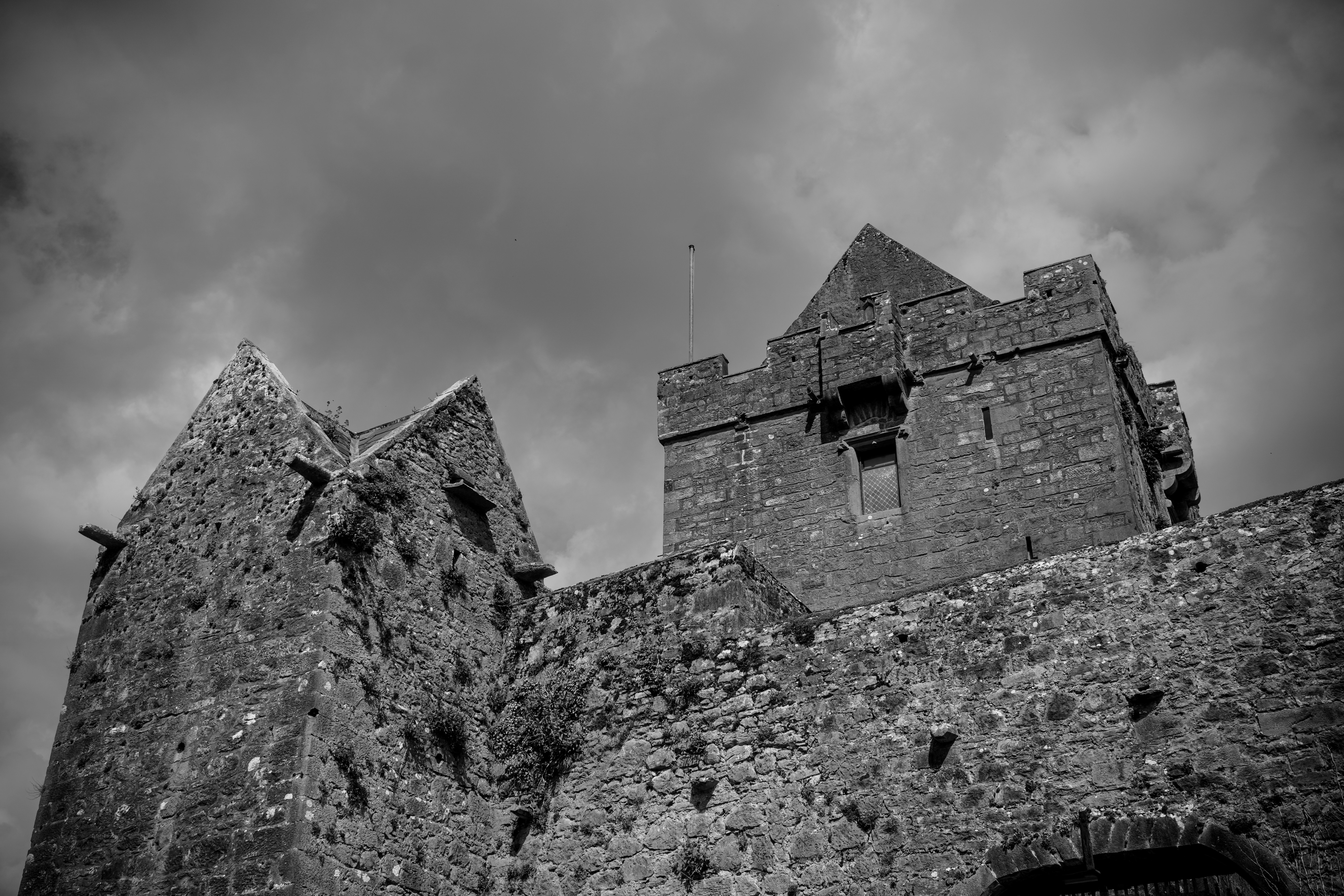 Photo by rogernobles