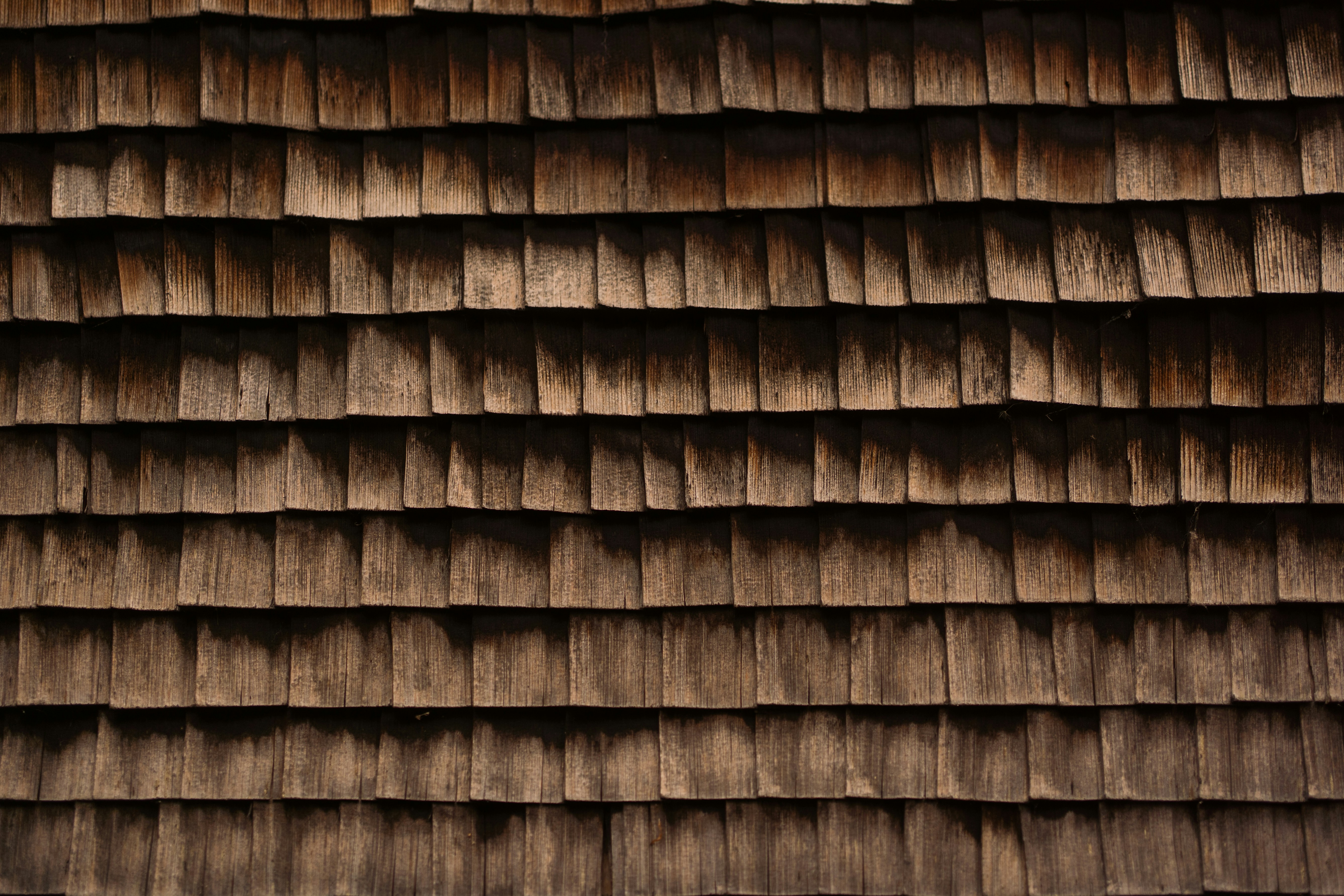 Photo by rogernobles