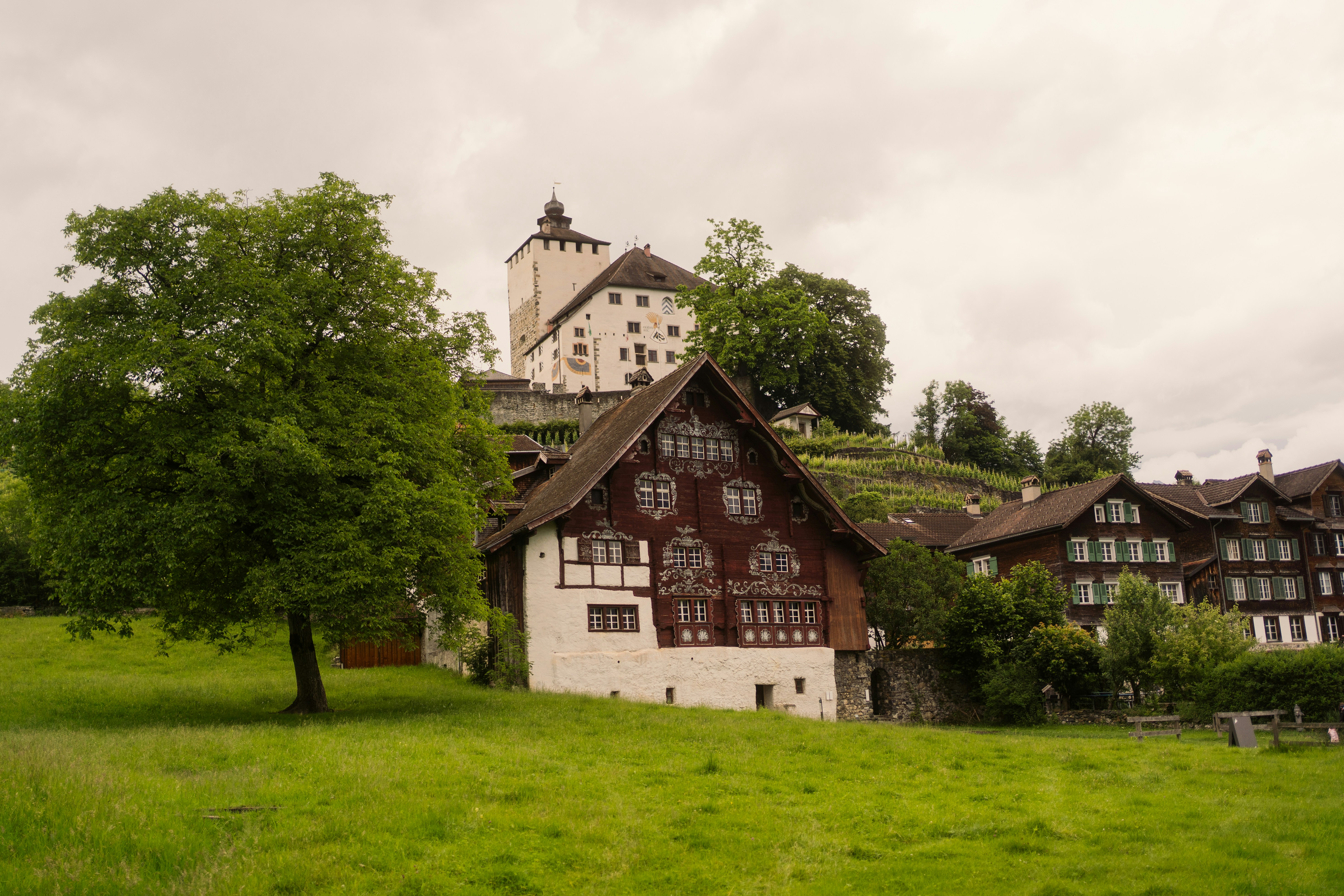 Houses sit beneath a castle in a green field.
