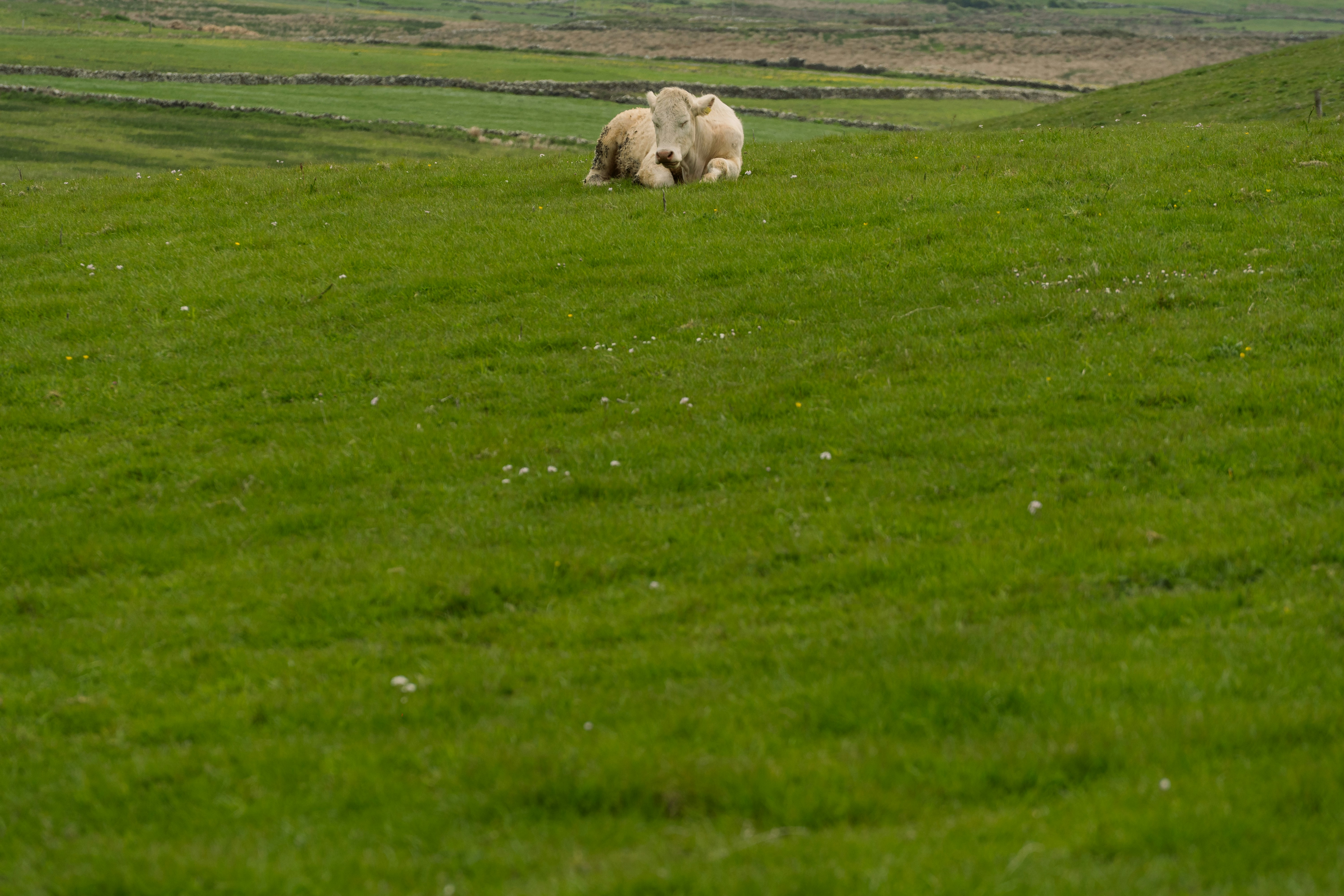 Photo by rogernobles