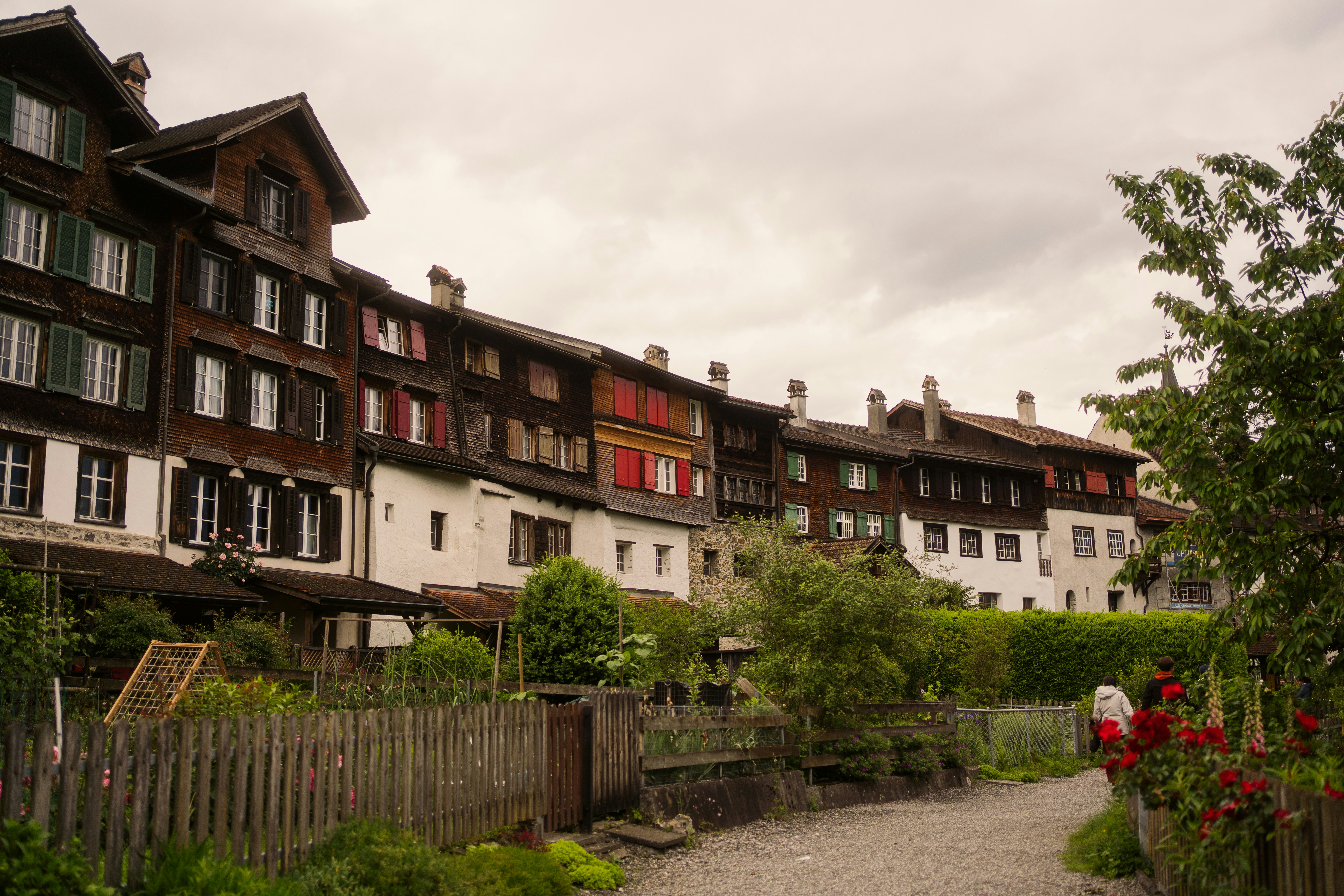 Photo by rogernobles