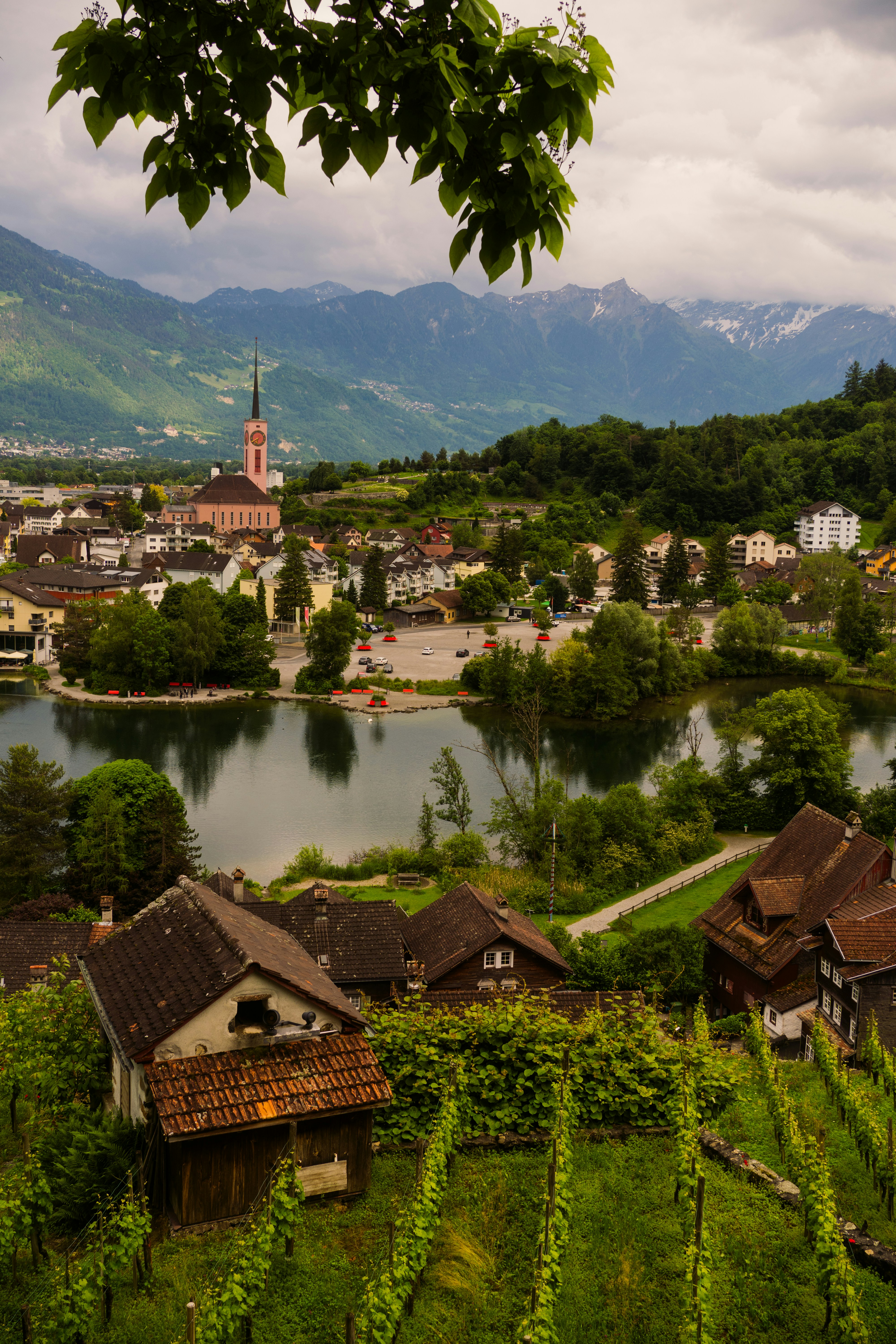 Photo by rogernobles