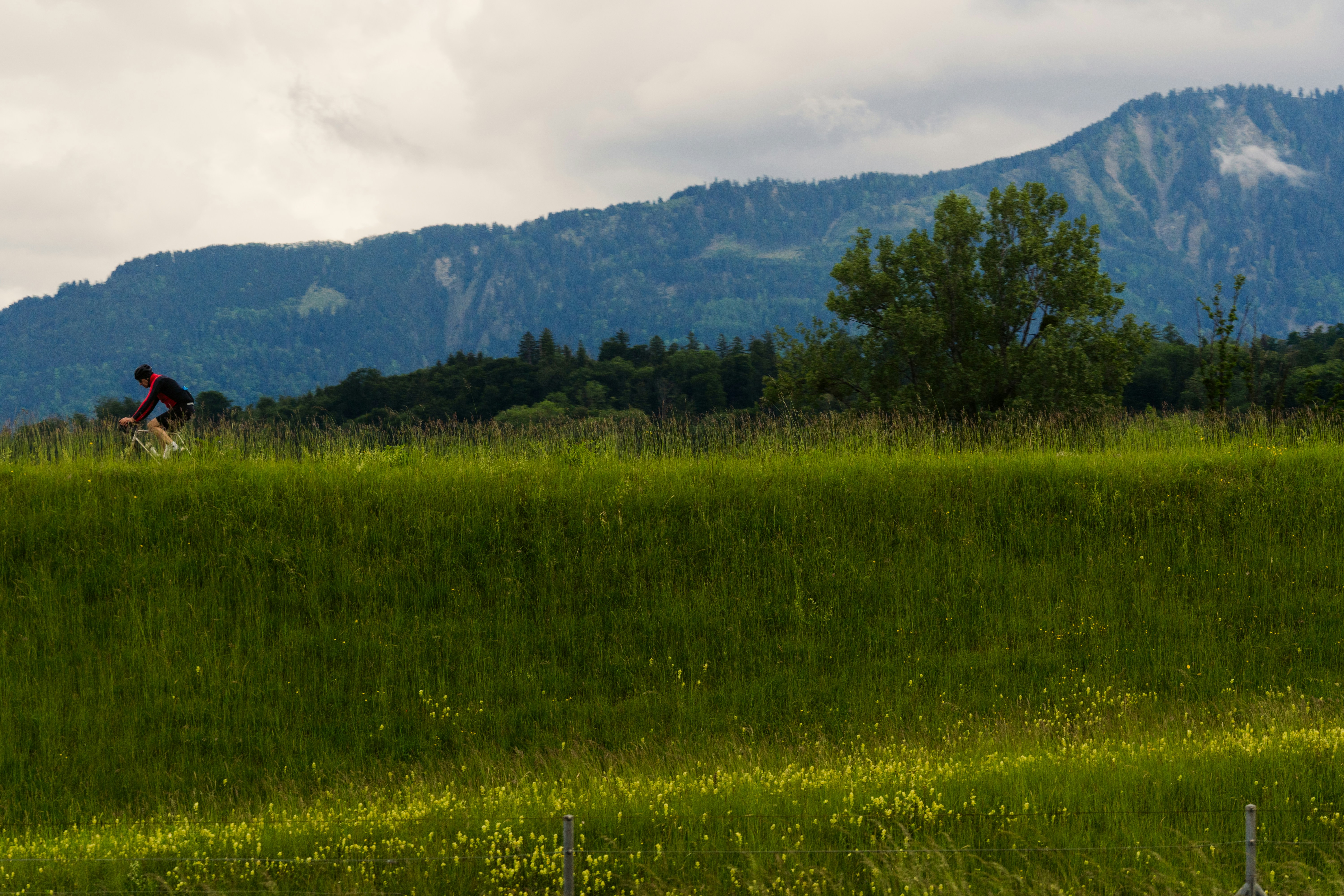 Photo by rogernobles