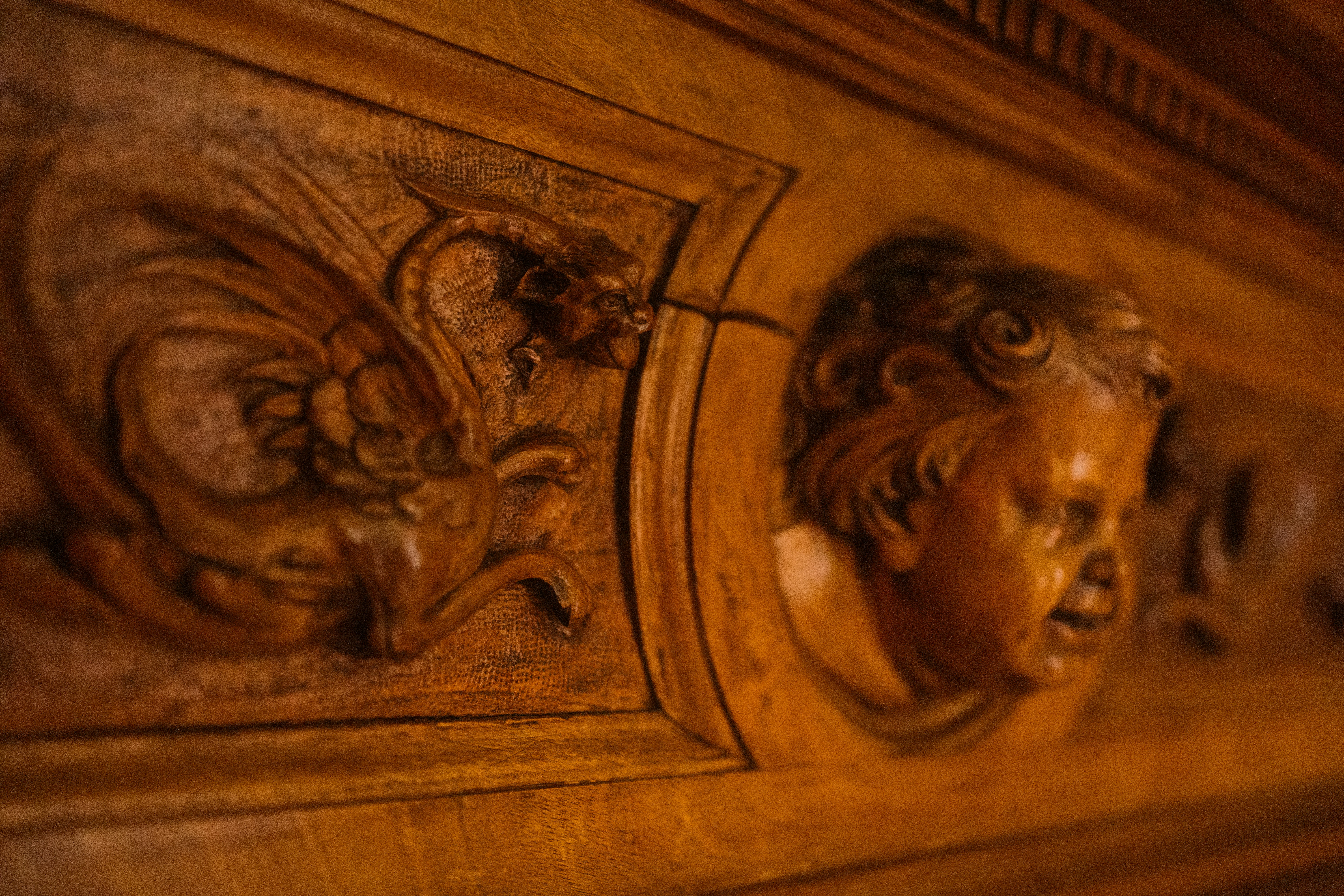 Photo by rogernobles