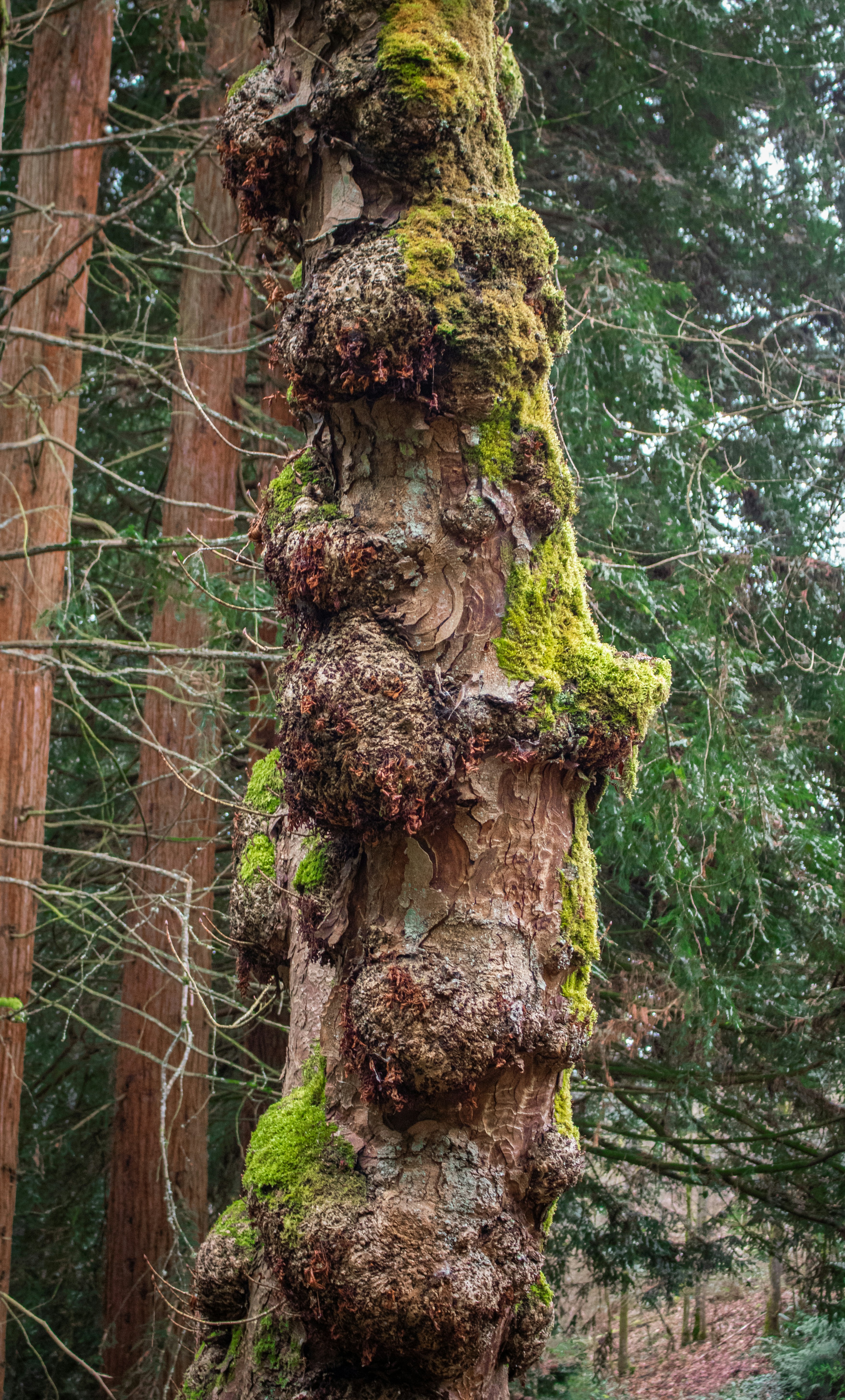 Photo by zoshuacolah