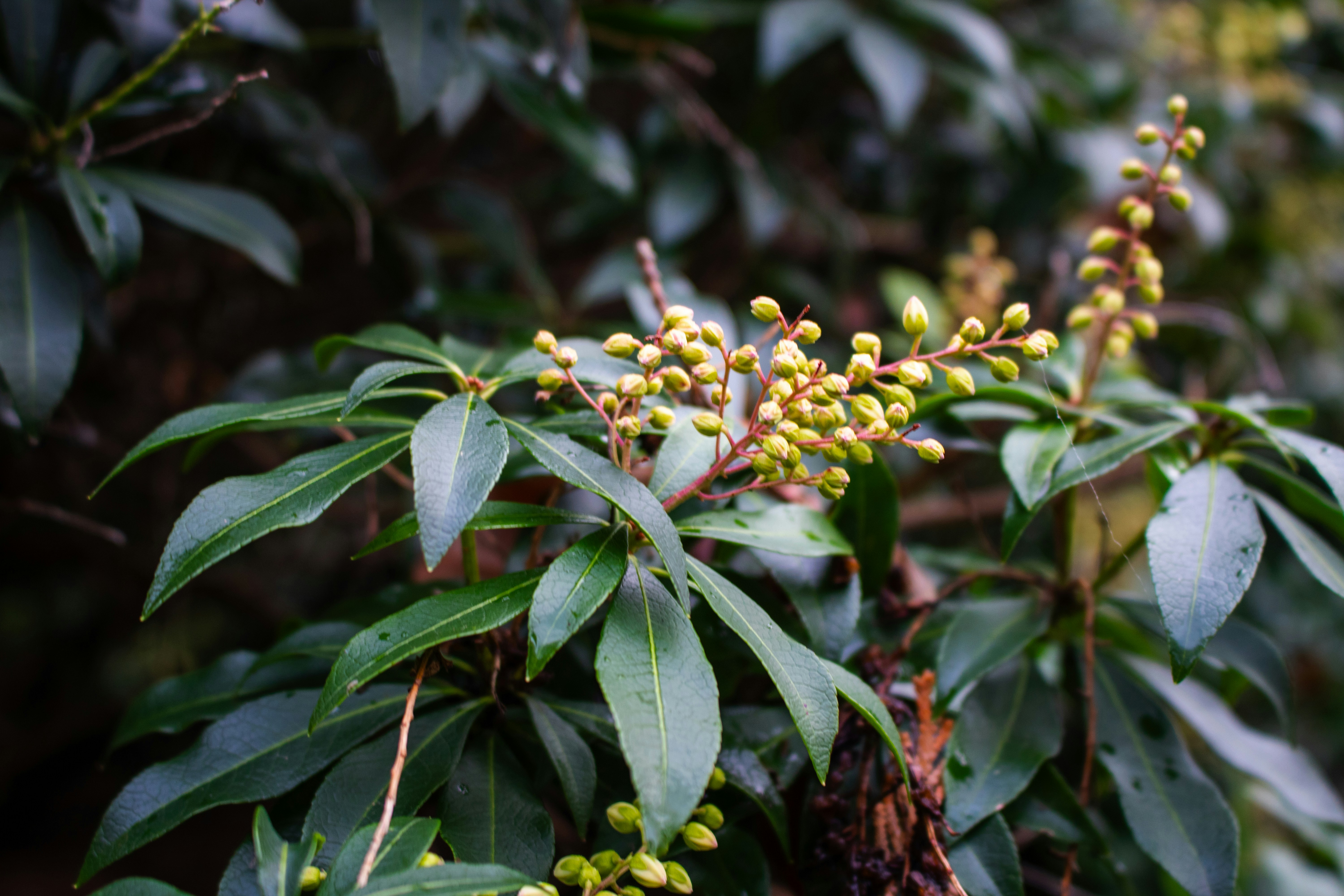 Photo by zoshuacolah