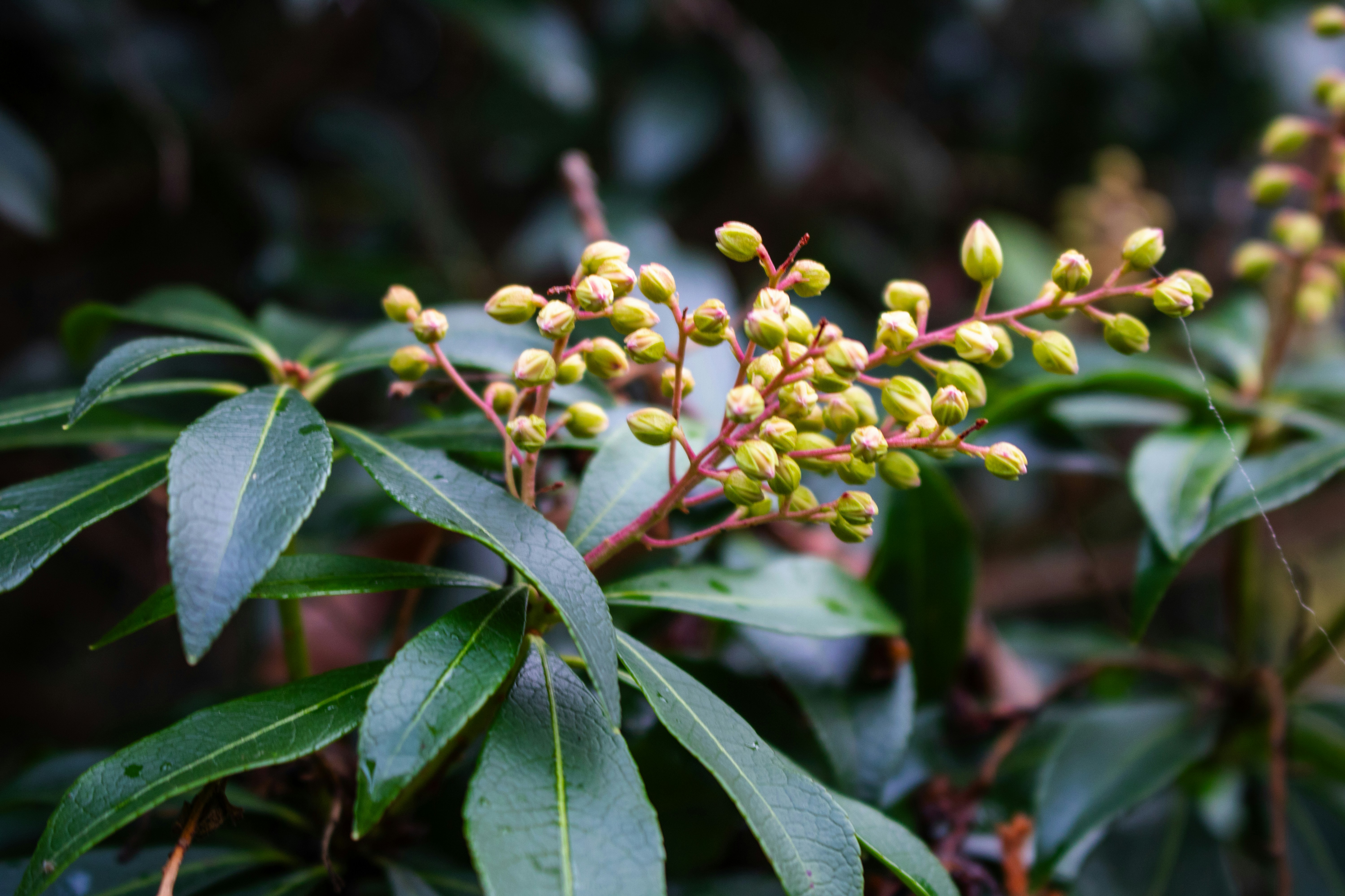 Photo by zoshuacolah