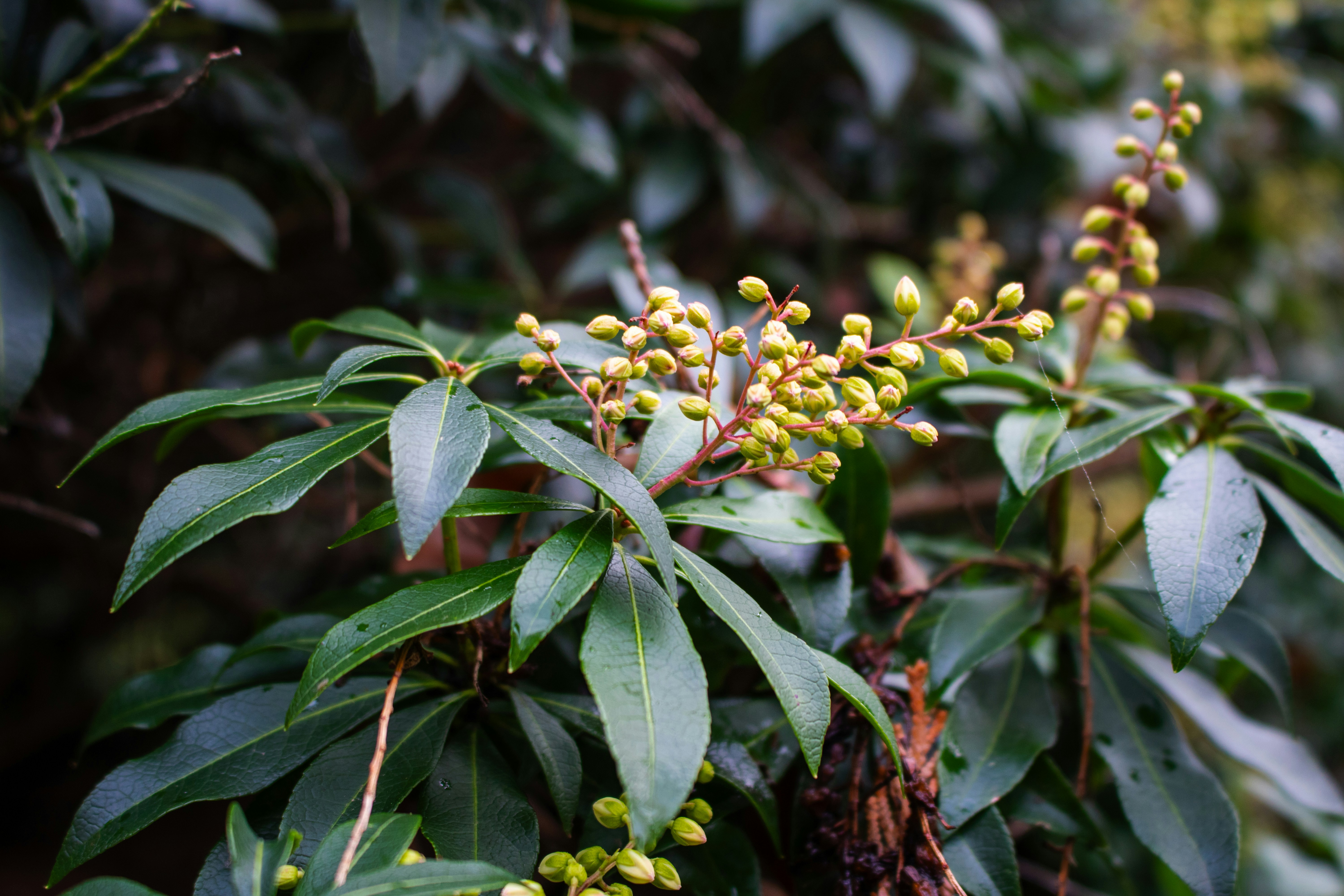 Photo by zoshuacolah