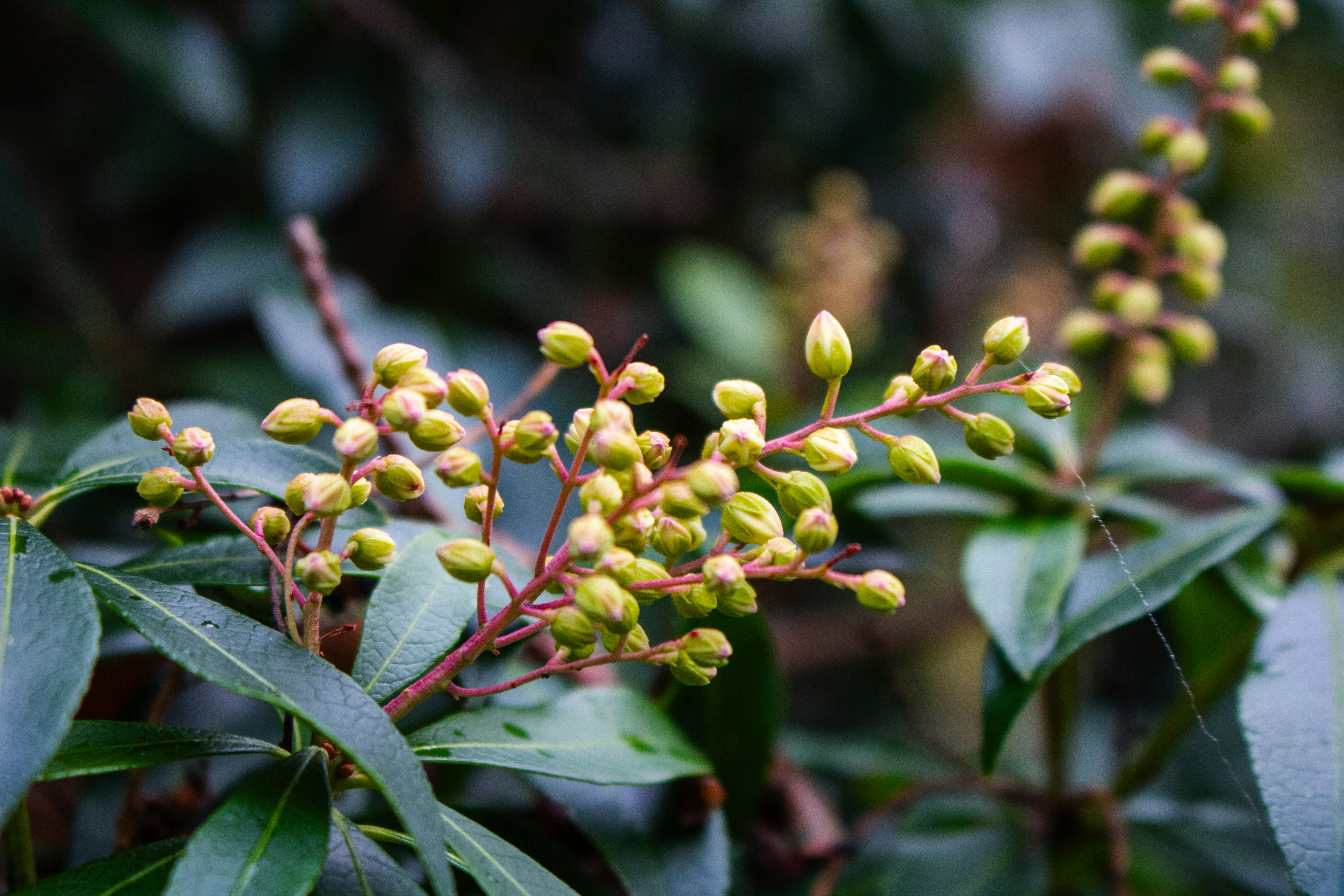 Photo by zoshuacolah