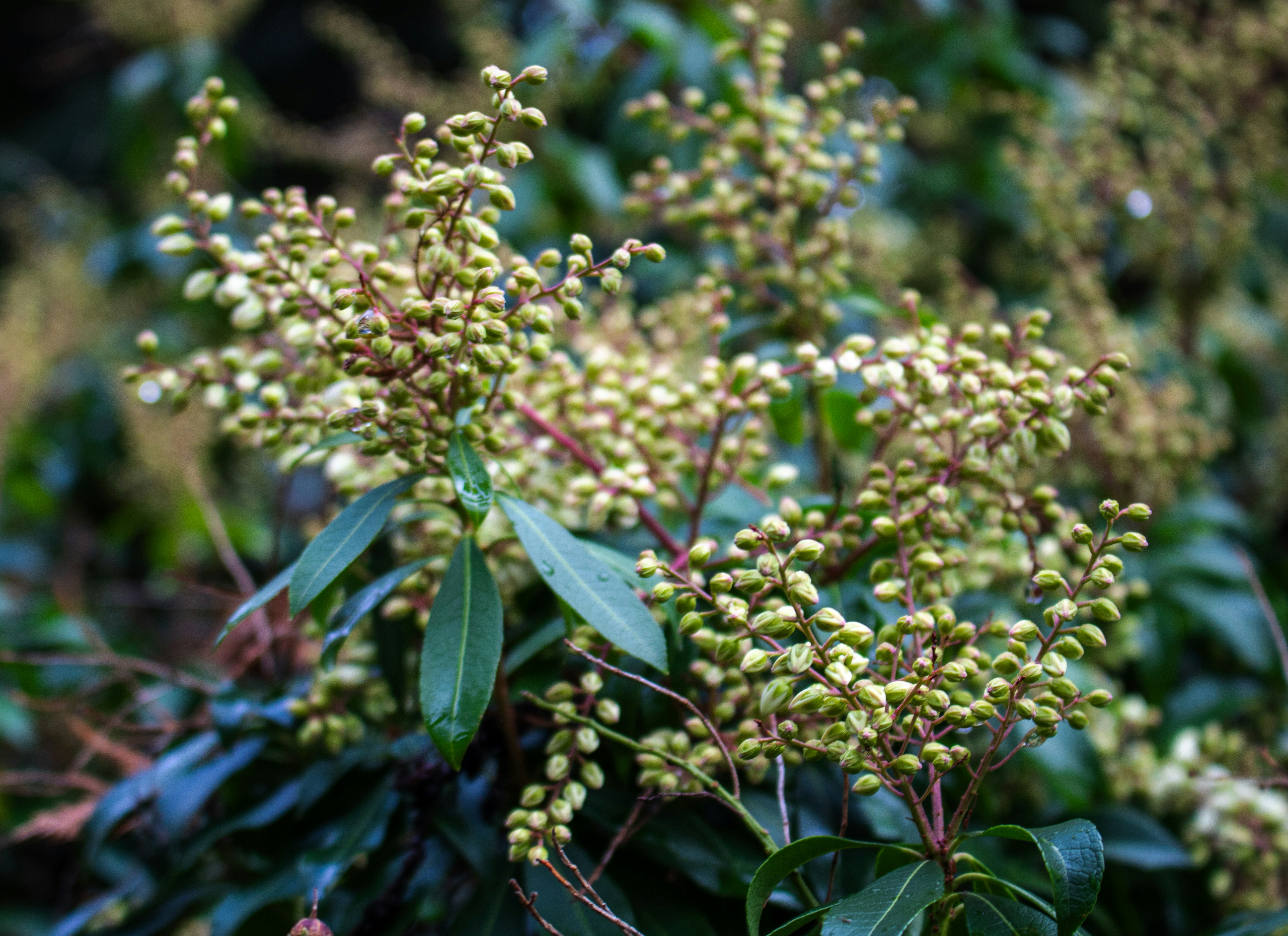 Photo by zoshuacolah