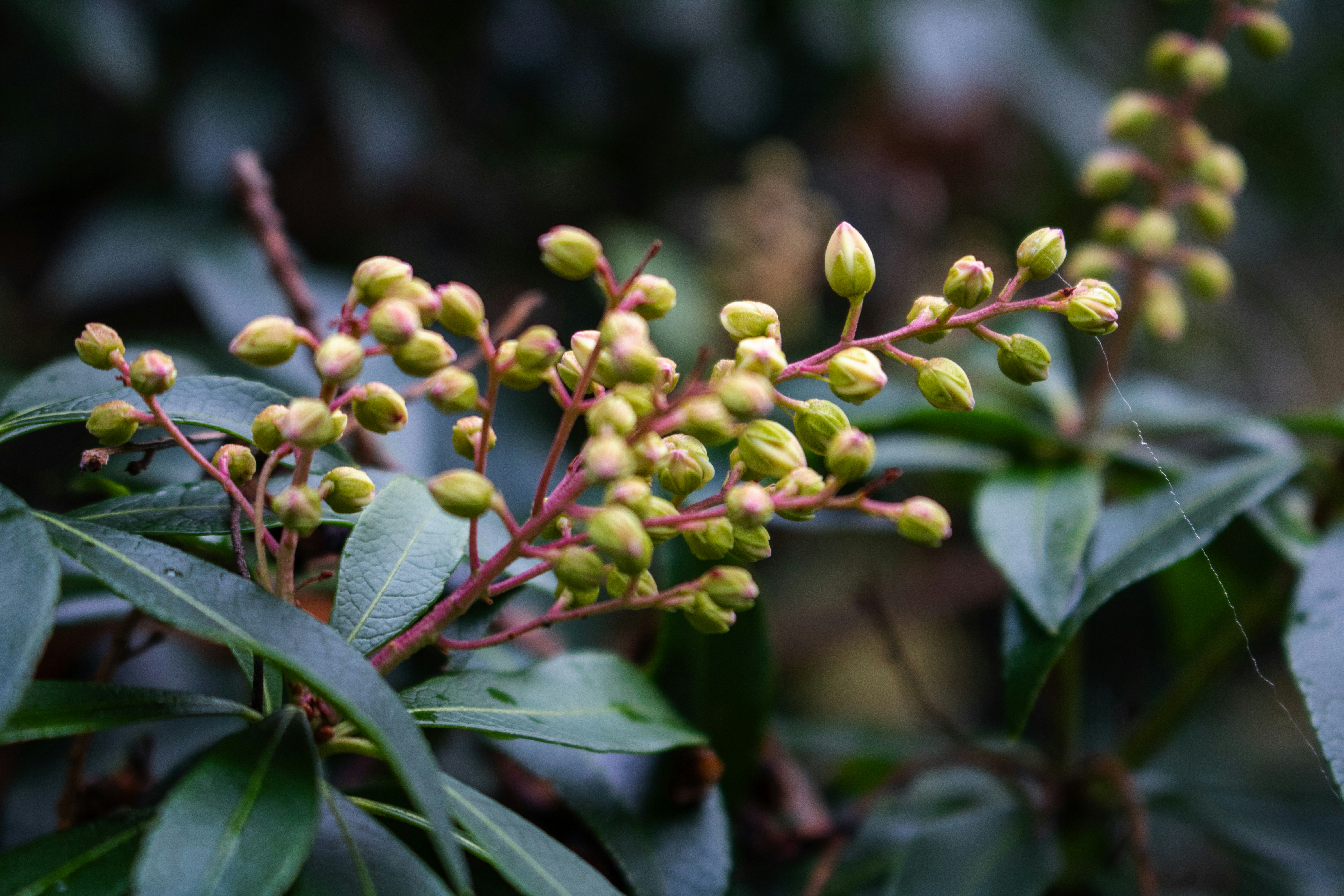 Photo by zoshuacolah