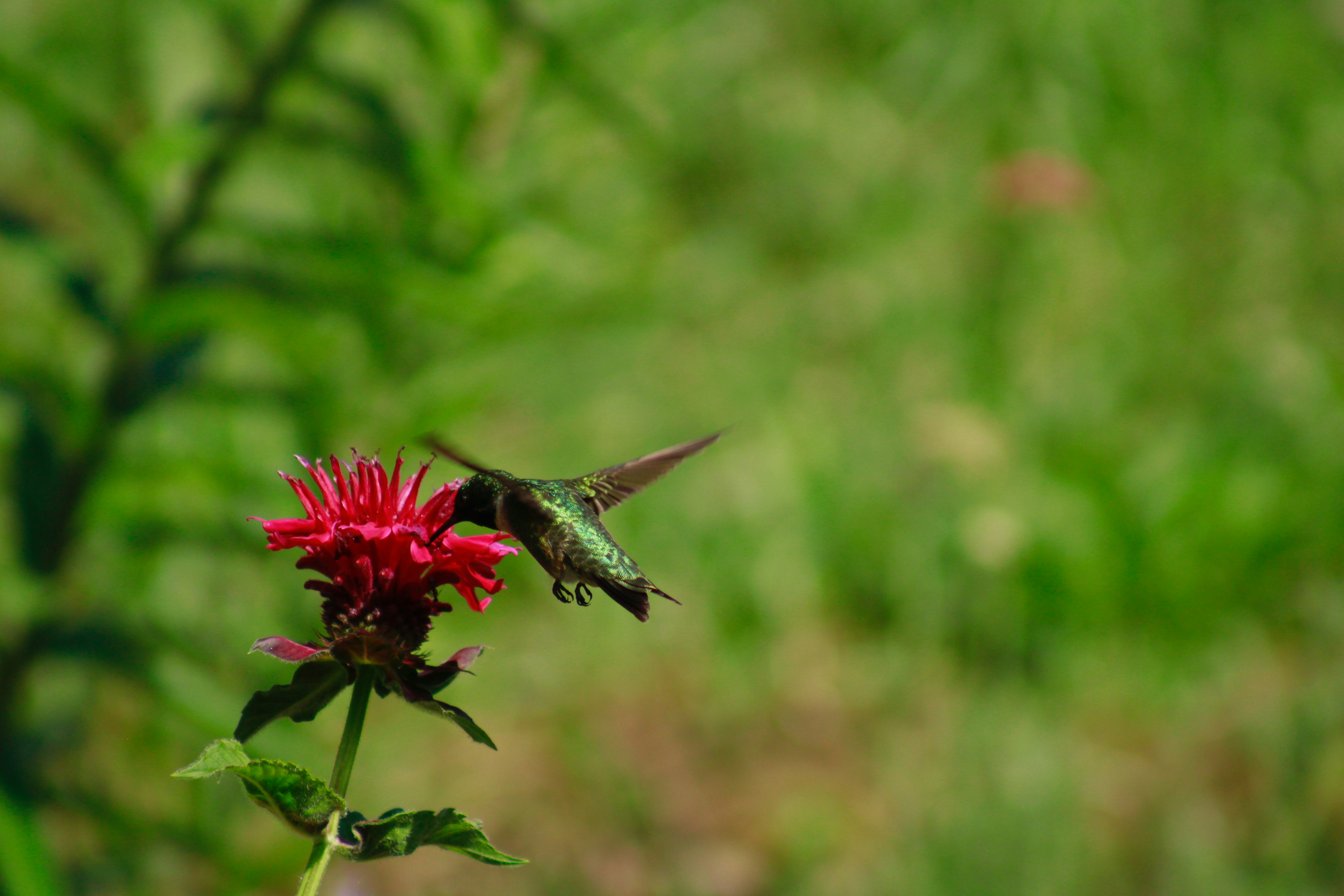 Photo by lisa_duqlaw