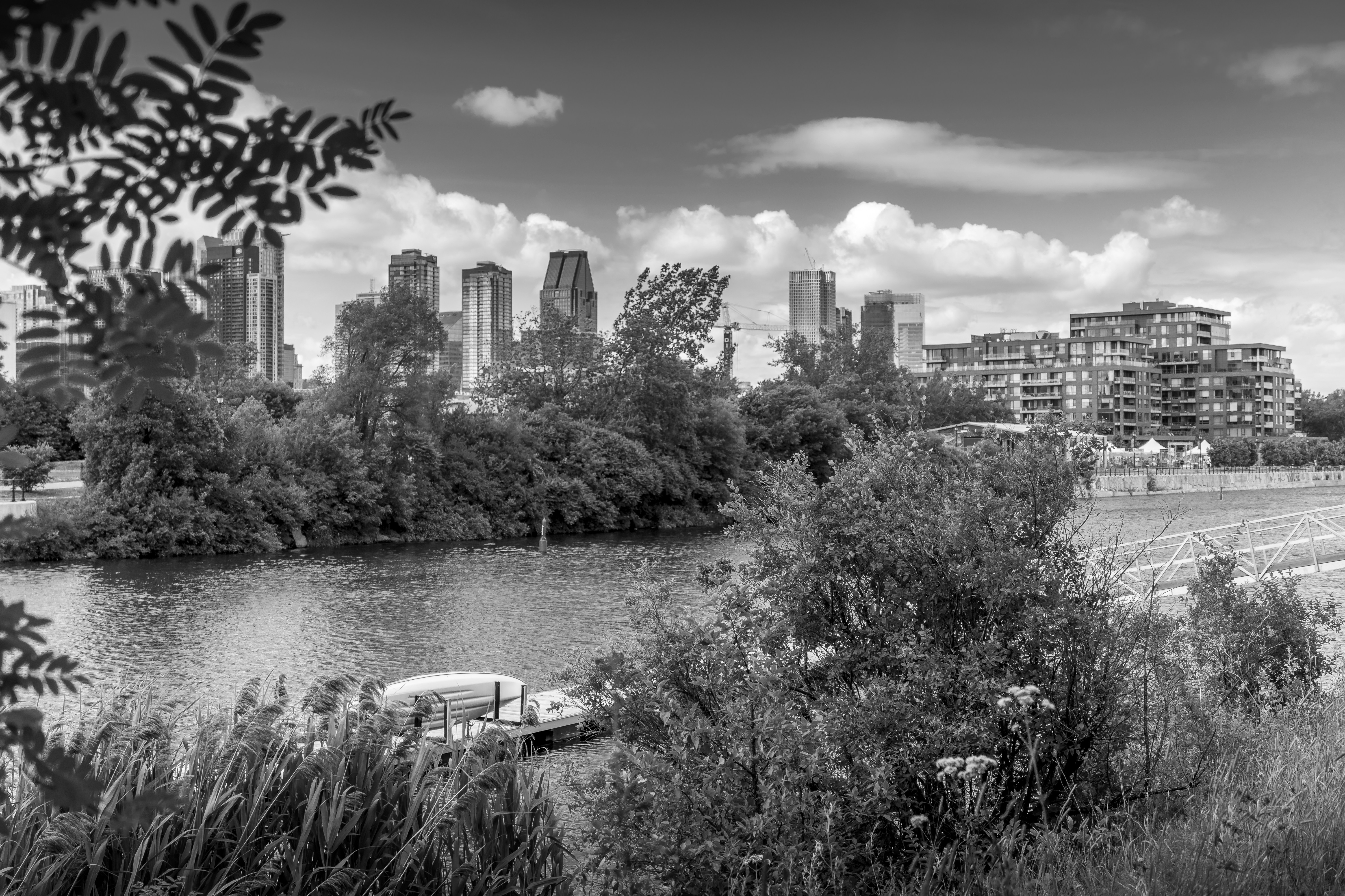 Photo by photographybymat_26