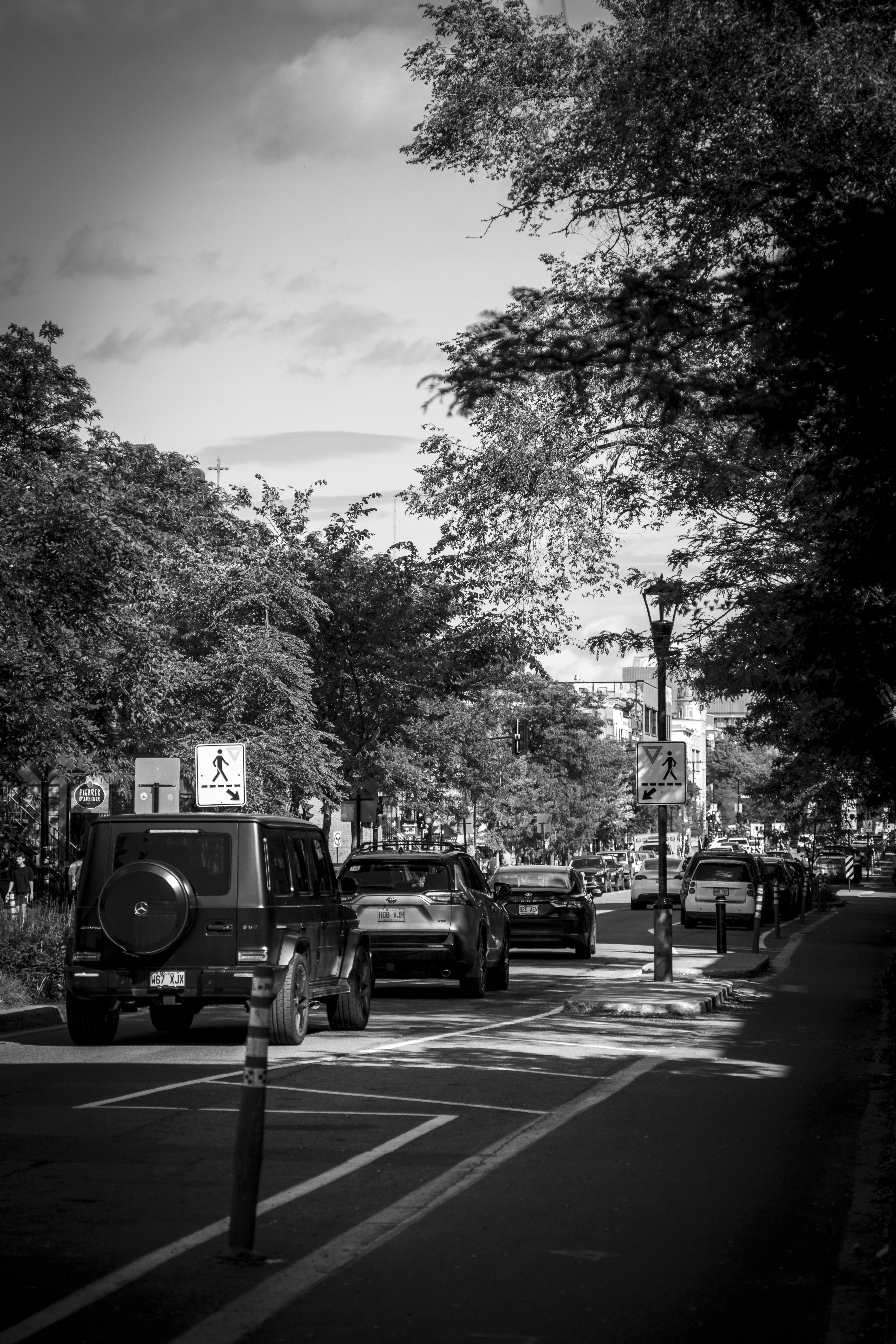 Photo by photographybymat_26