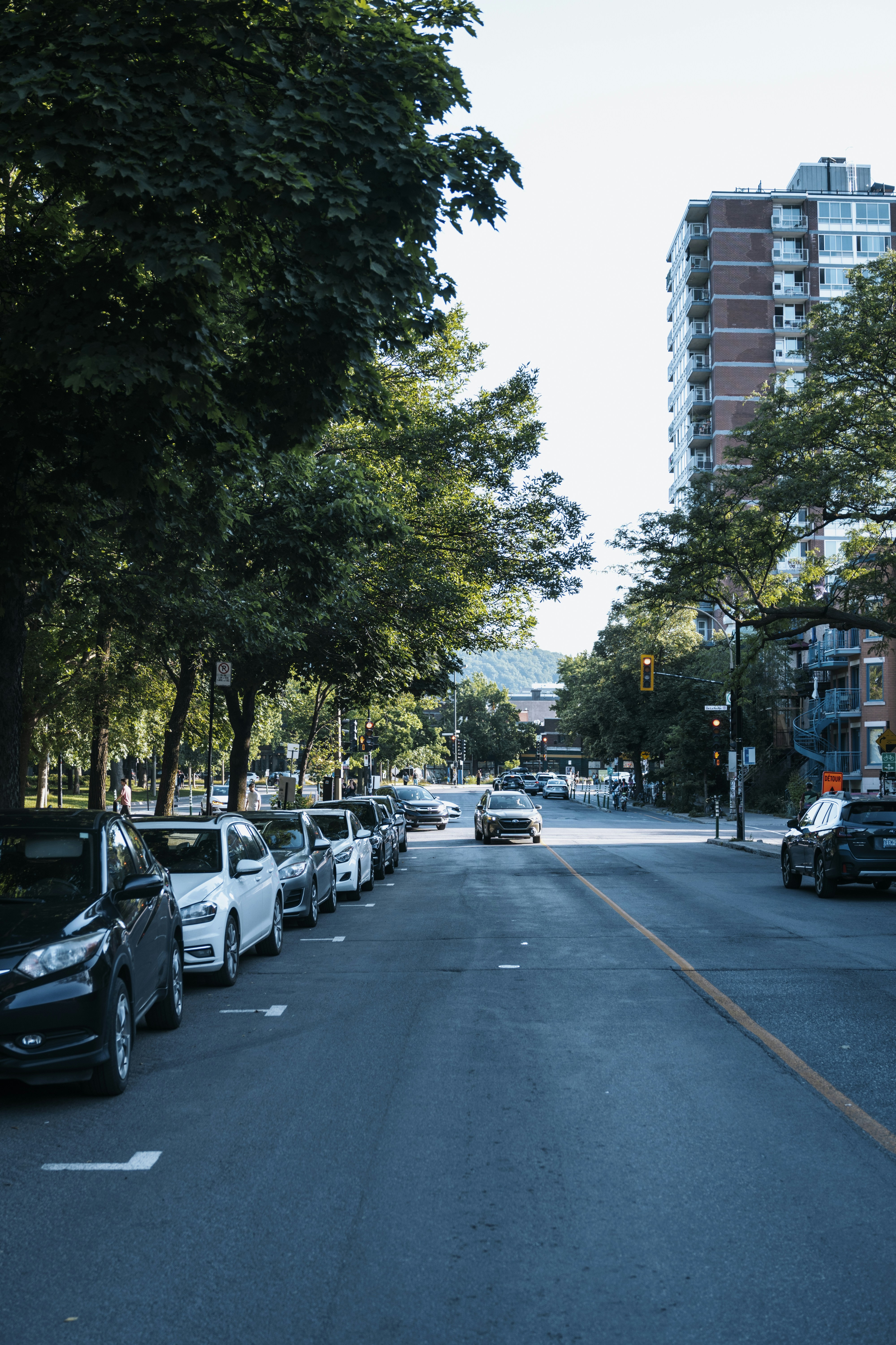 Photo by photographybymat_26