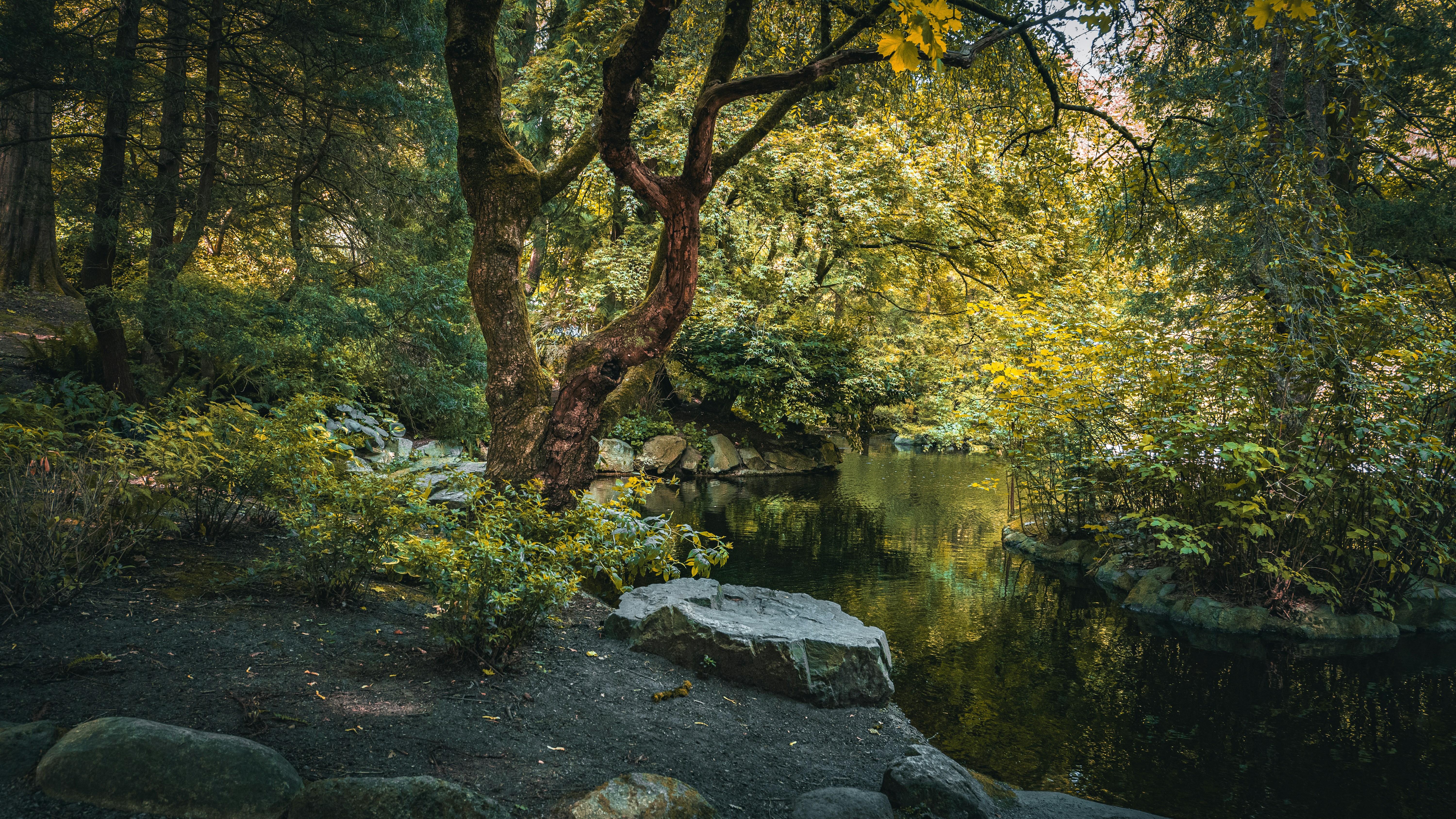 Photo by syawishrehman