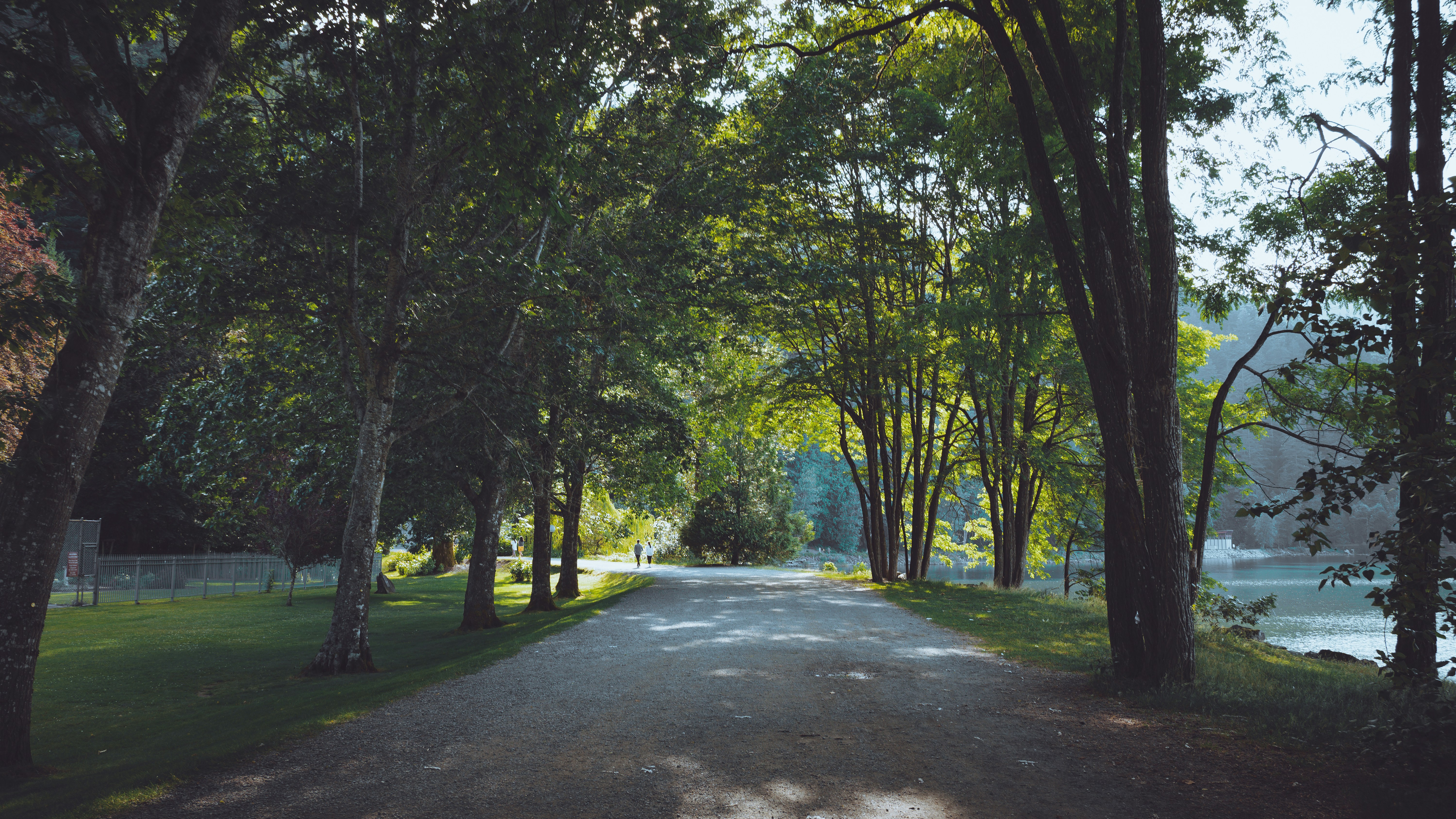 Photo by syawishrehman