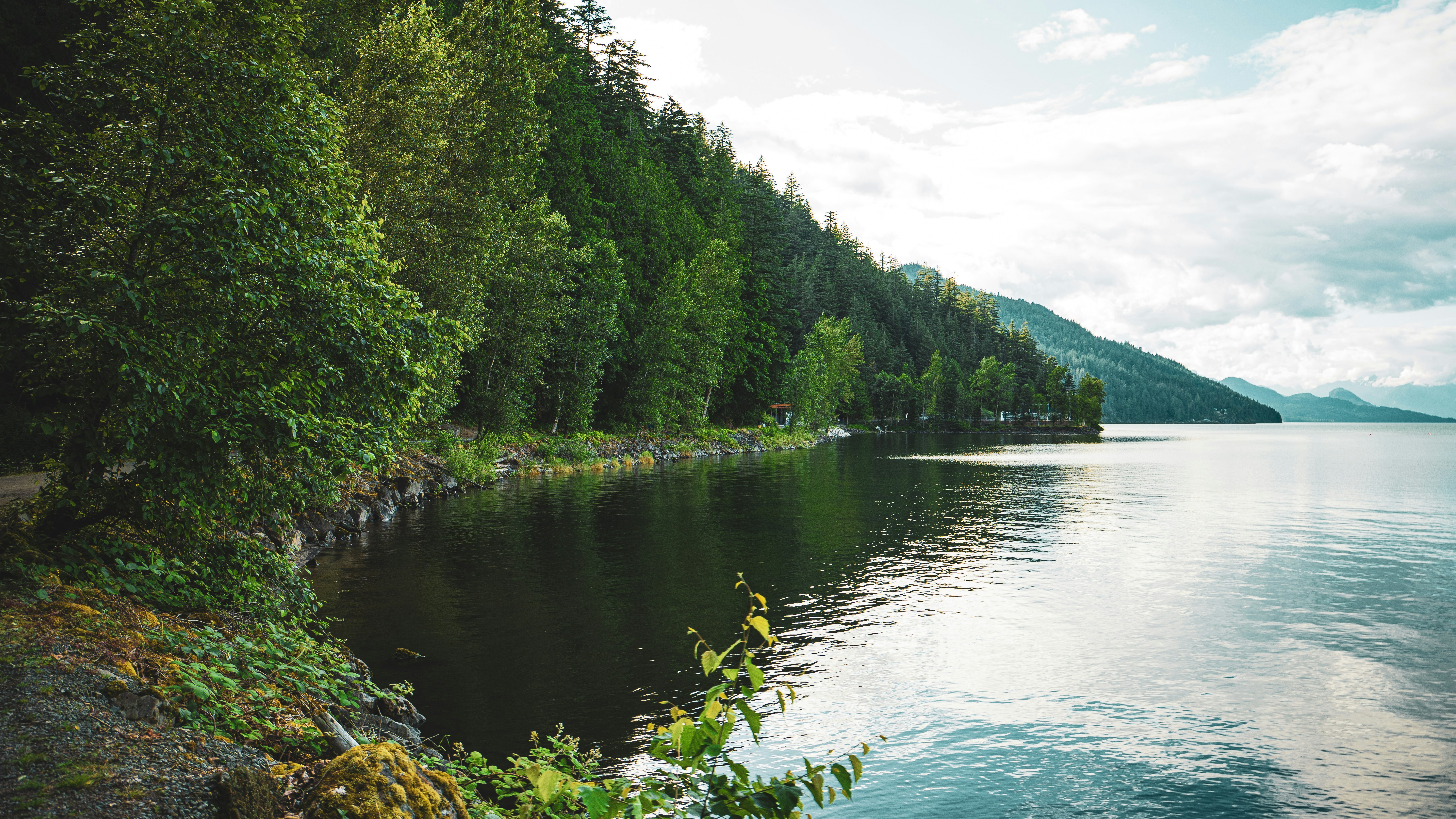 Photo by syawishrehman