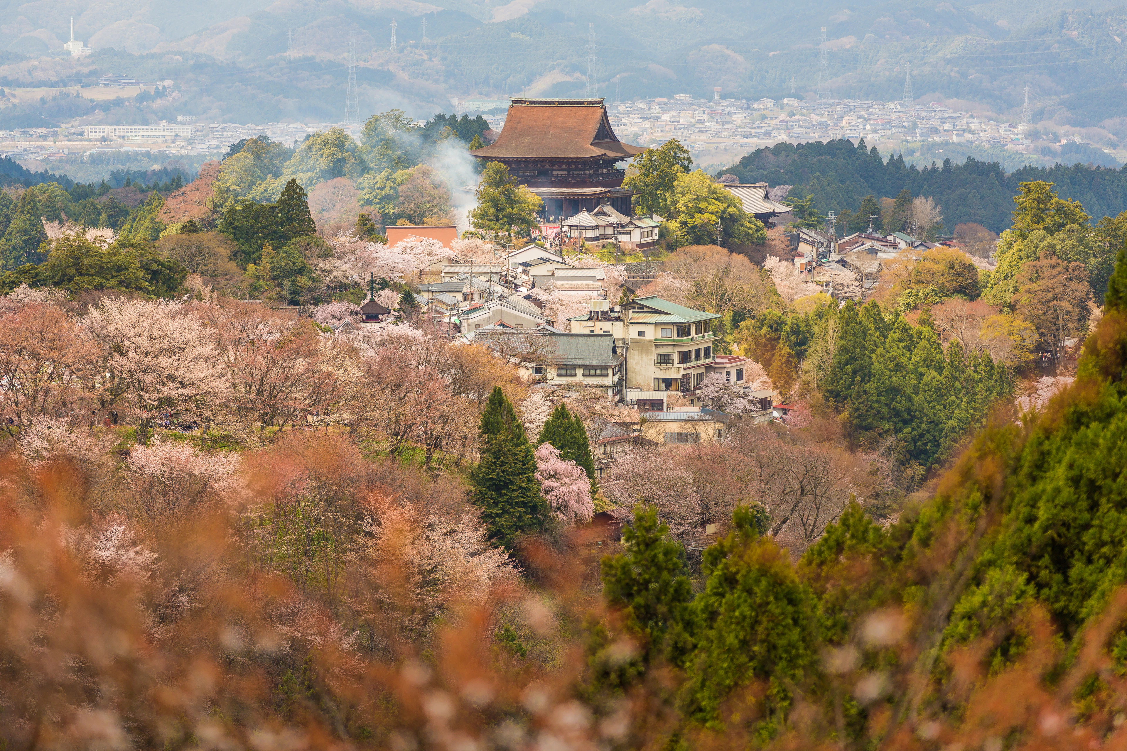 요시노산 긴푸센지 자오도