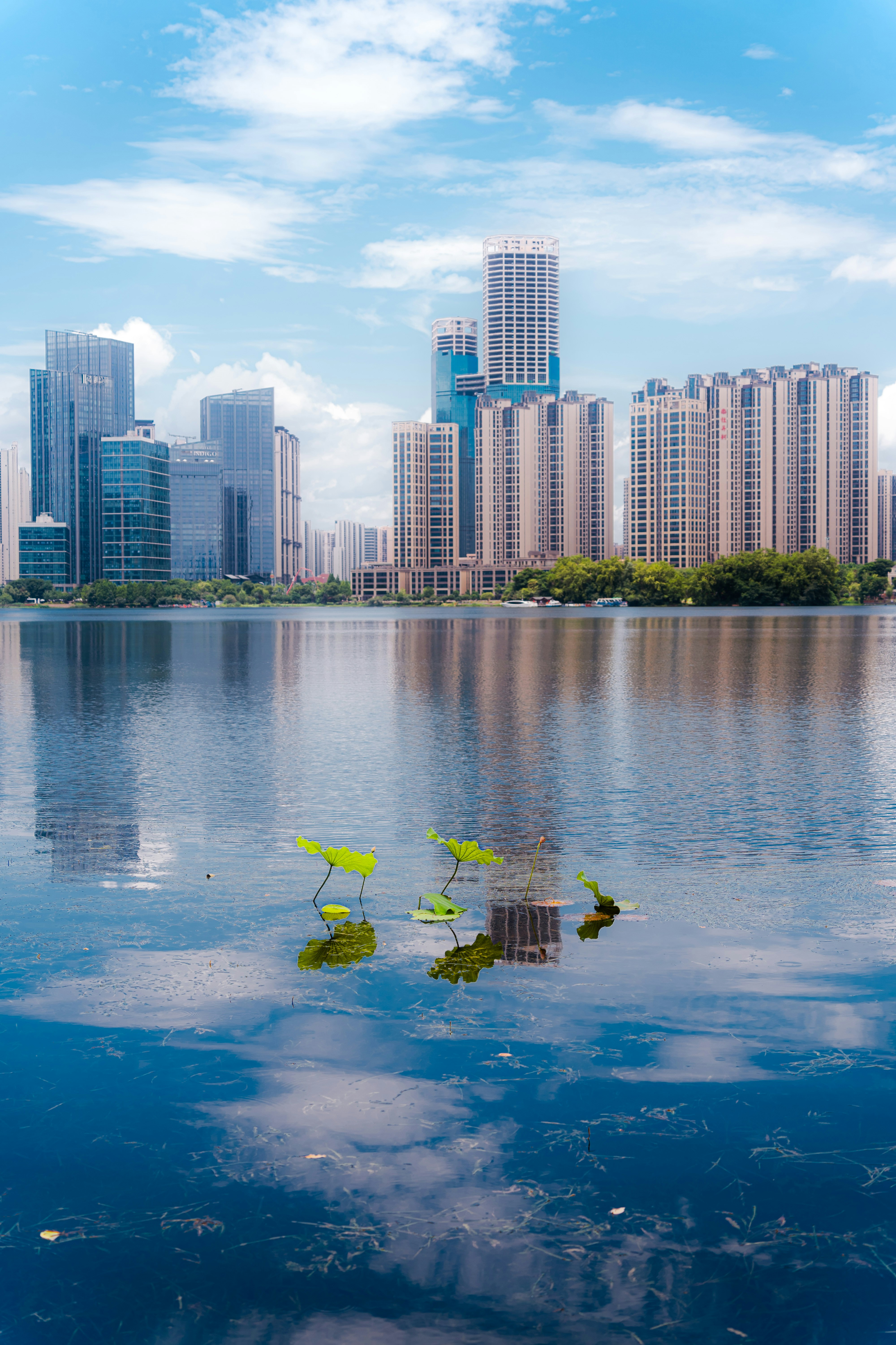 Photo by xiexianghua