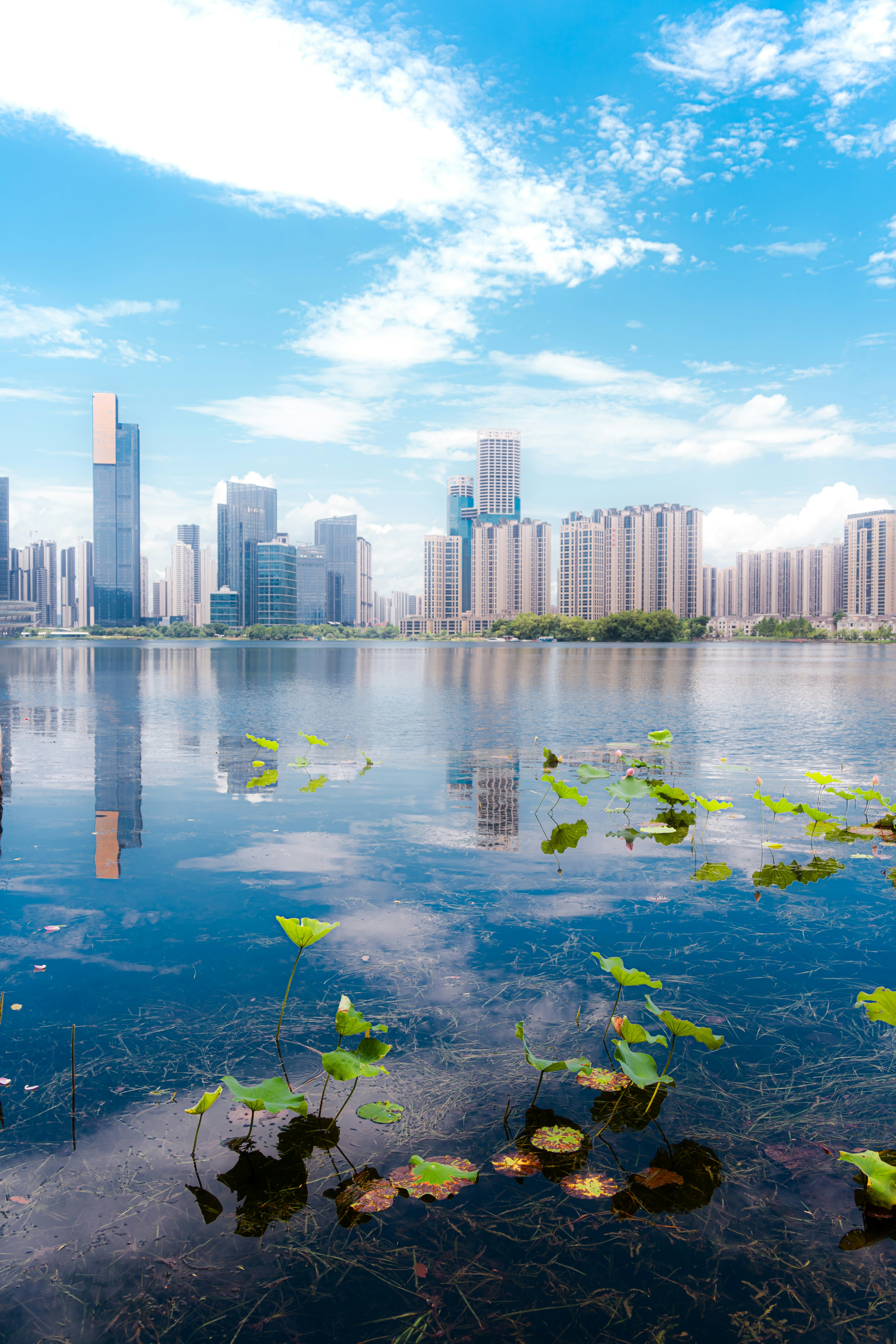 Photo by xiexianghua