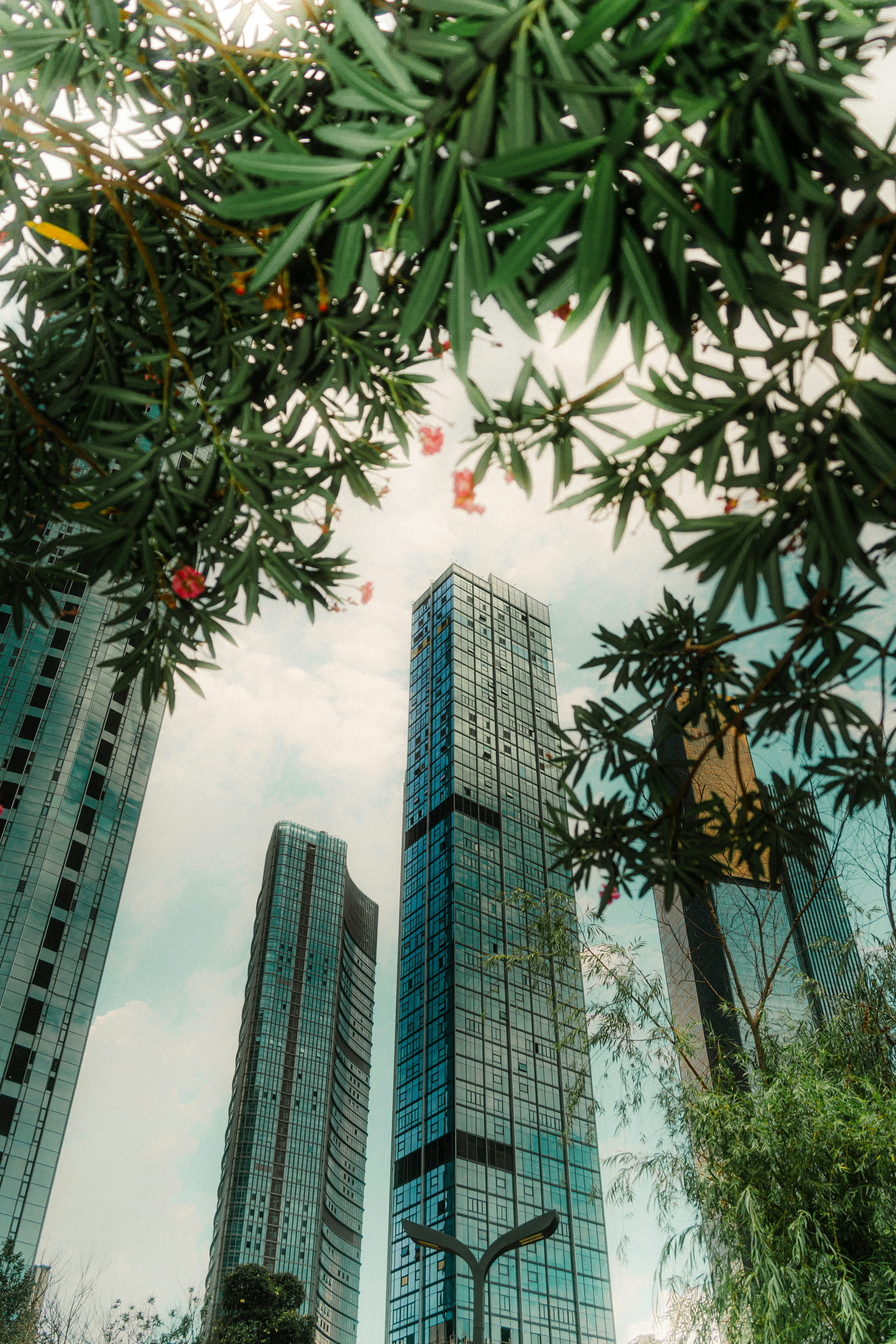 Photo by xiexianghua