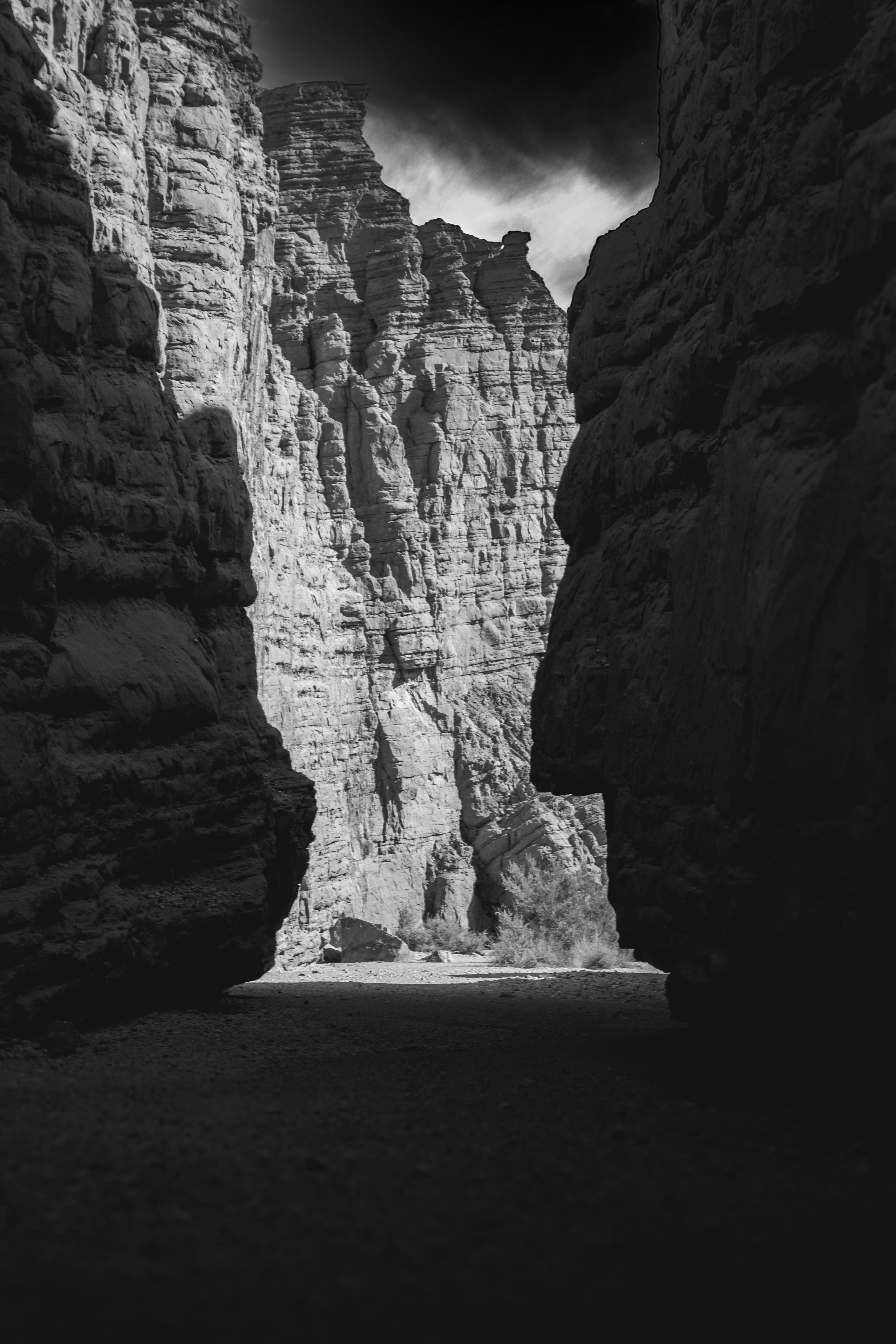 Photo by parkerdesignsss