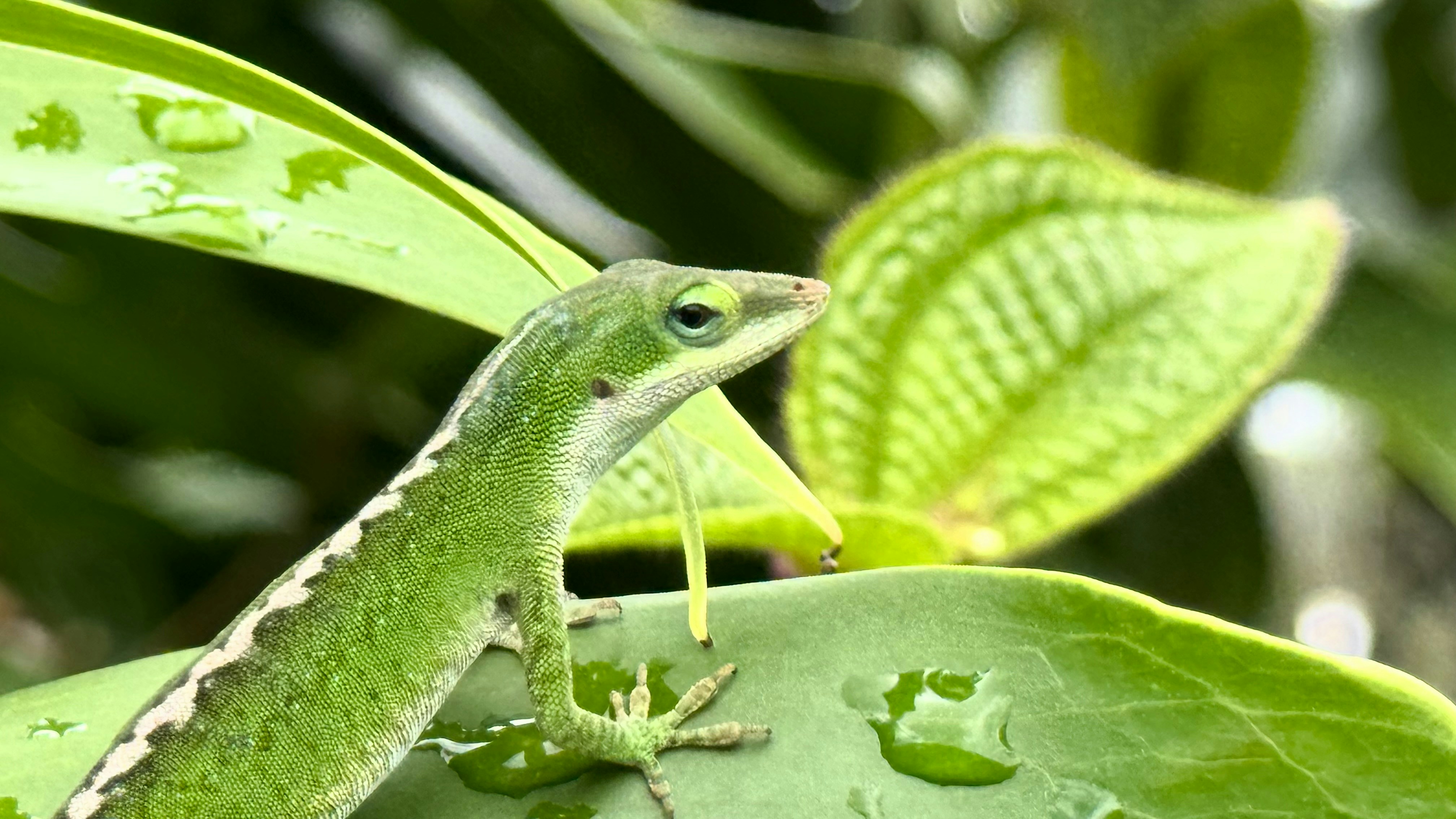 Photo by picsbyjameslee