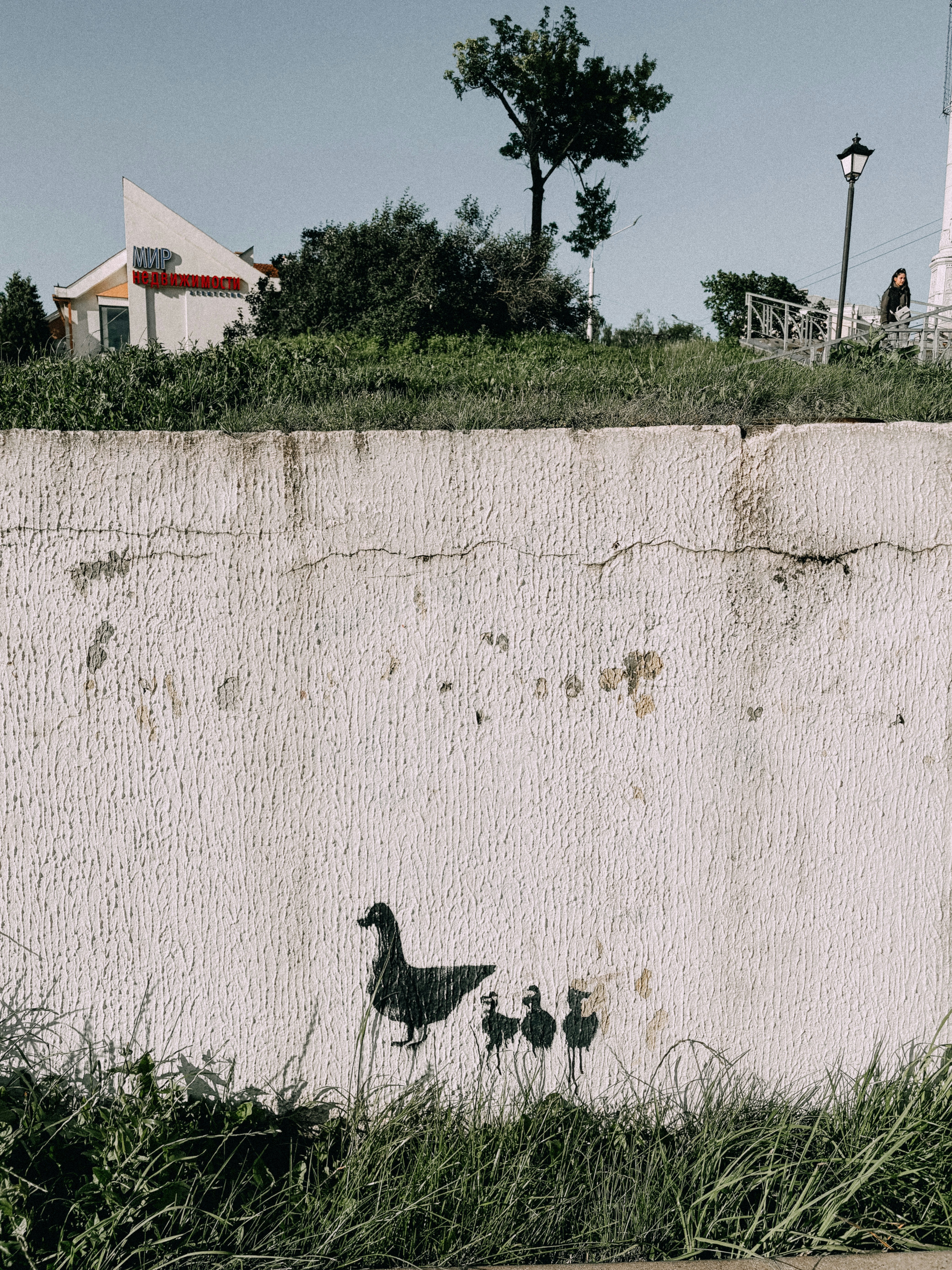 A duck family graffiti is painted on a wall.