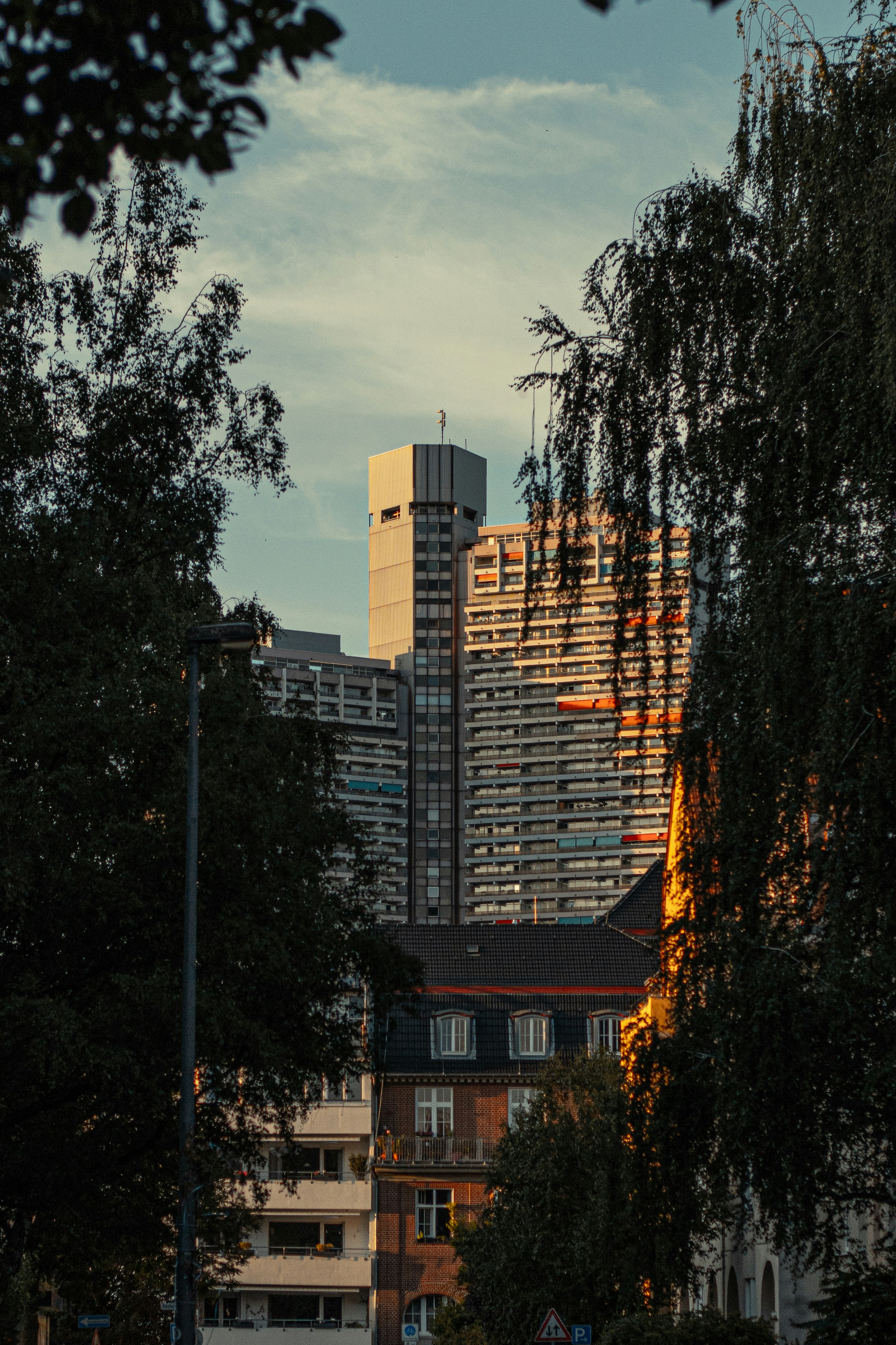 Tall buildings are seen through trees.