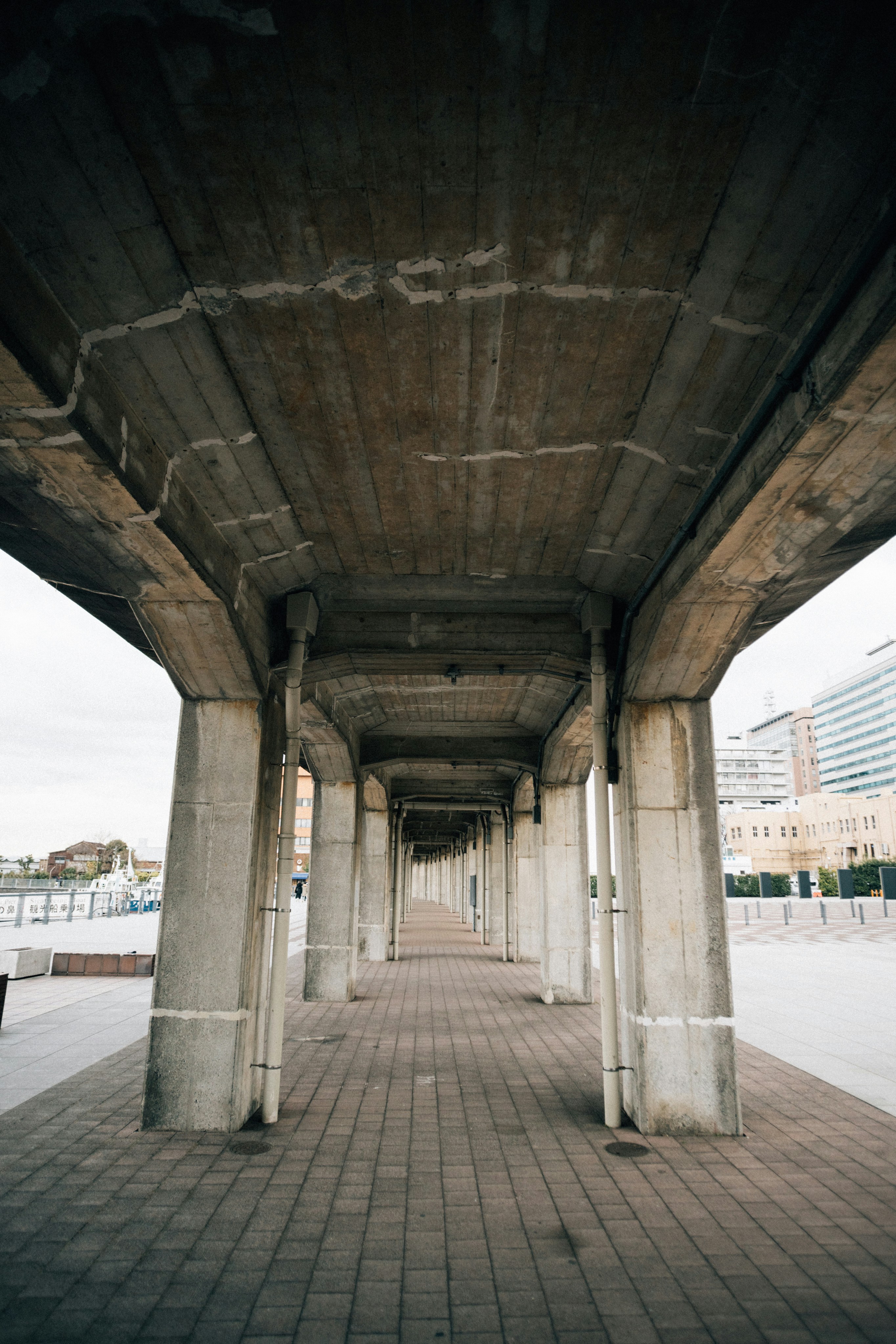 Photo by tsuyoshikozu