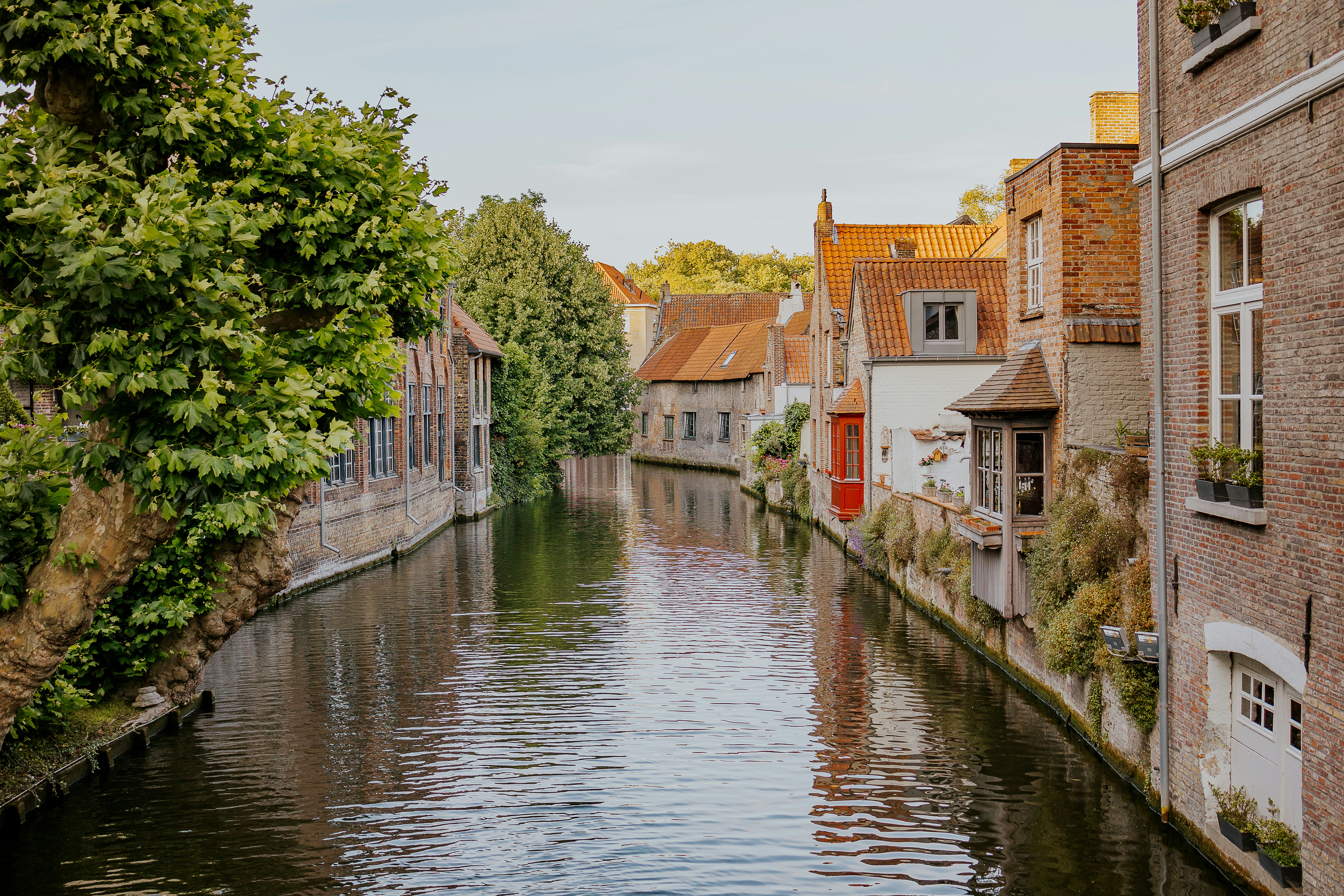 A canal flowing through a charming European city in summer
