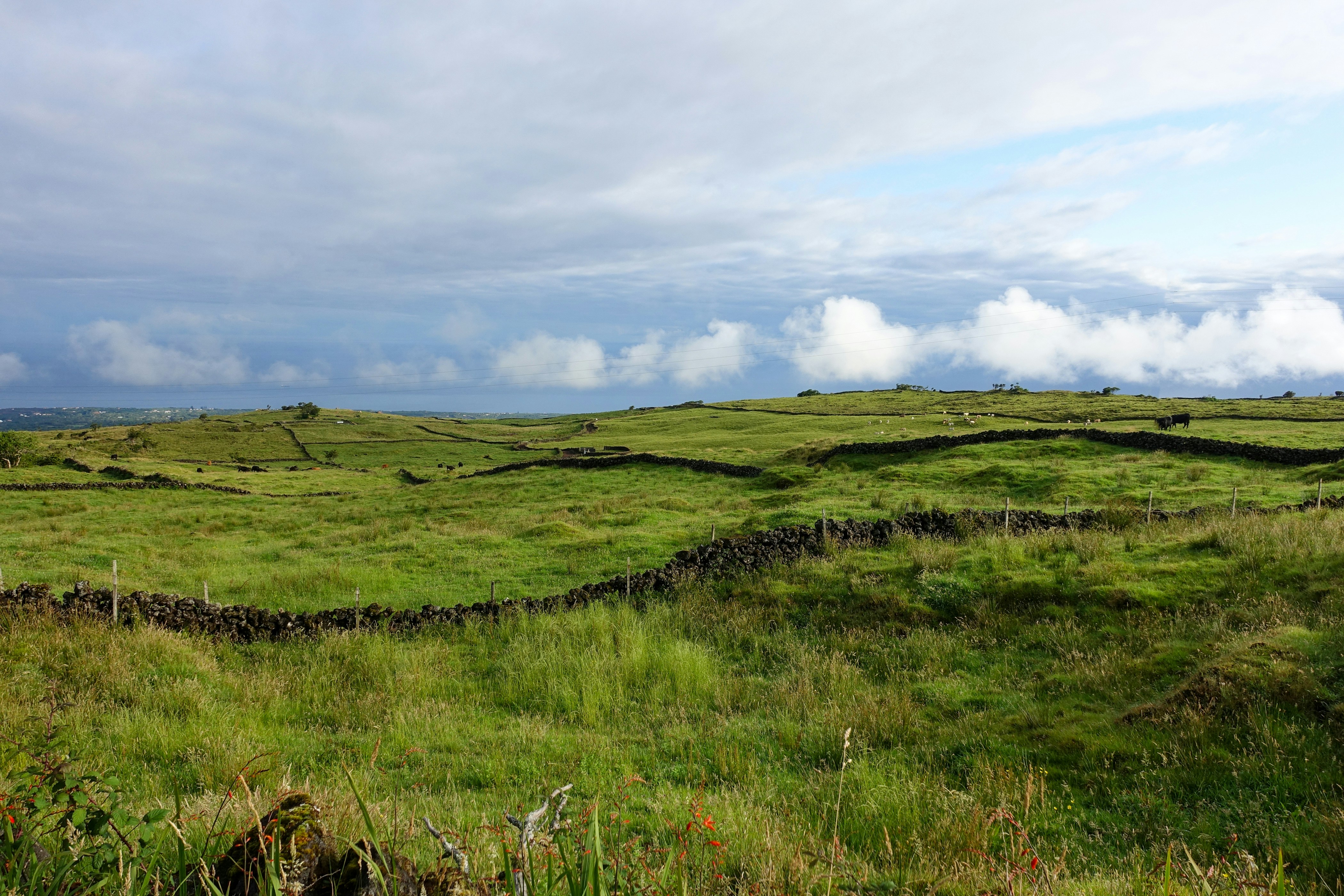 Green fields are separated by stone walls.