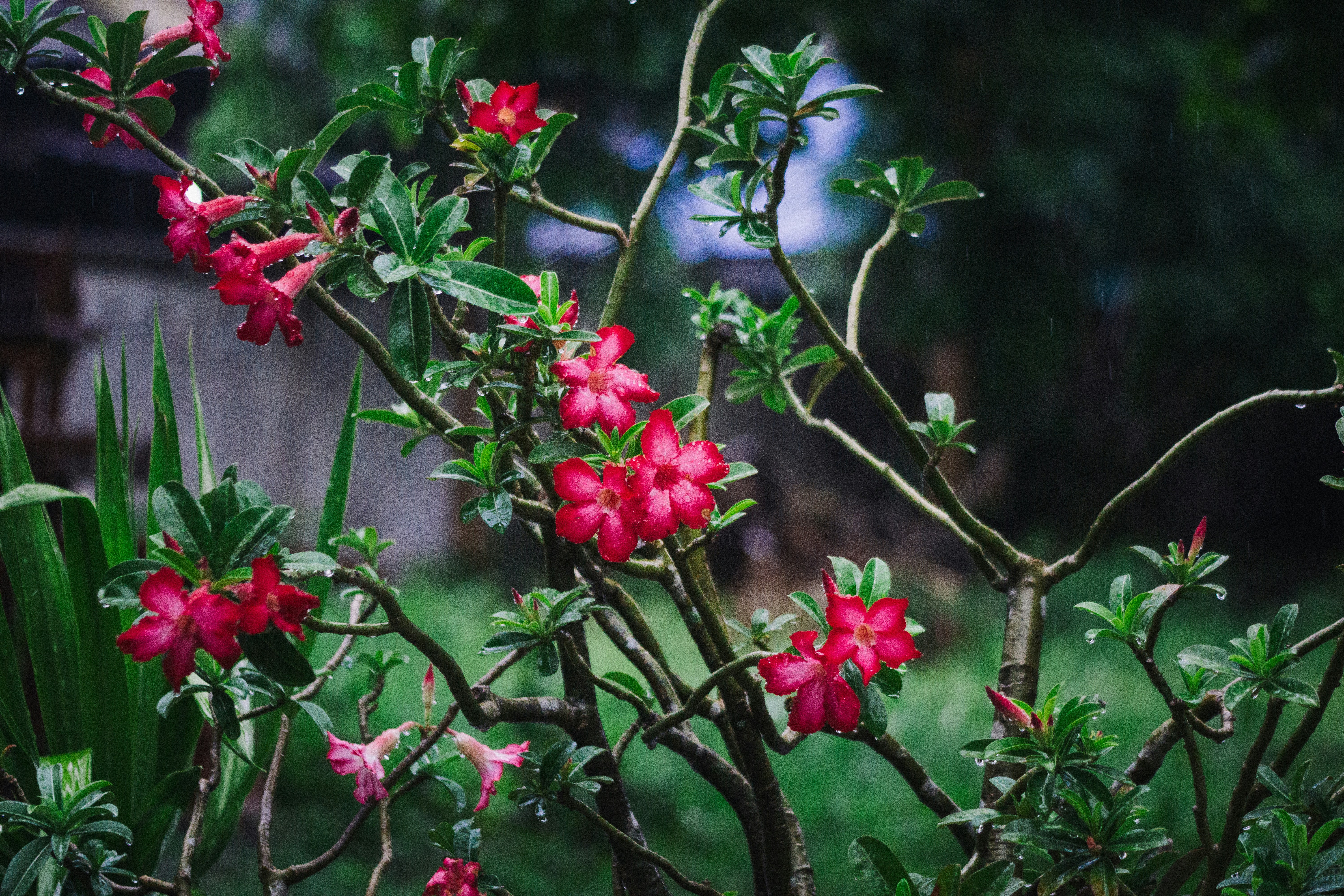 Photo by honney