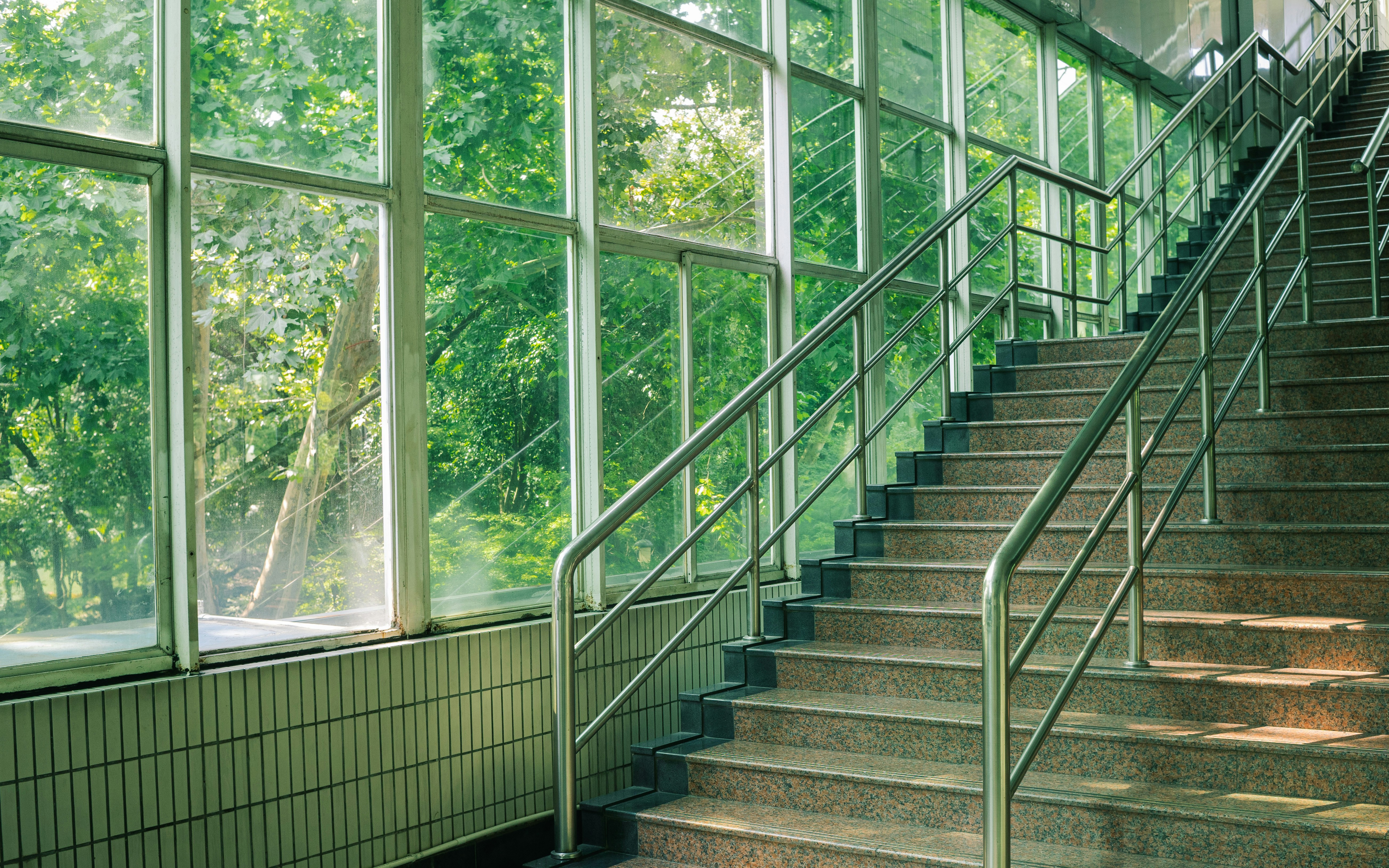 窓から見える緑のある屋内の階段。