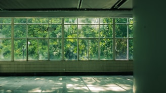 Sunlight streams through large windows into an empty room.