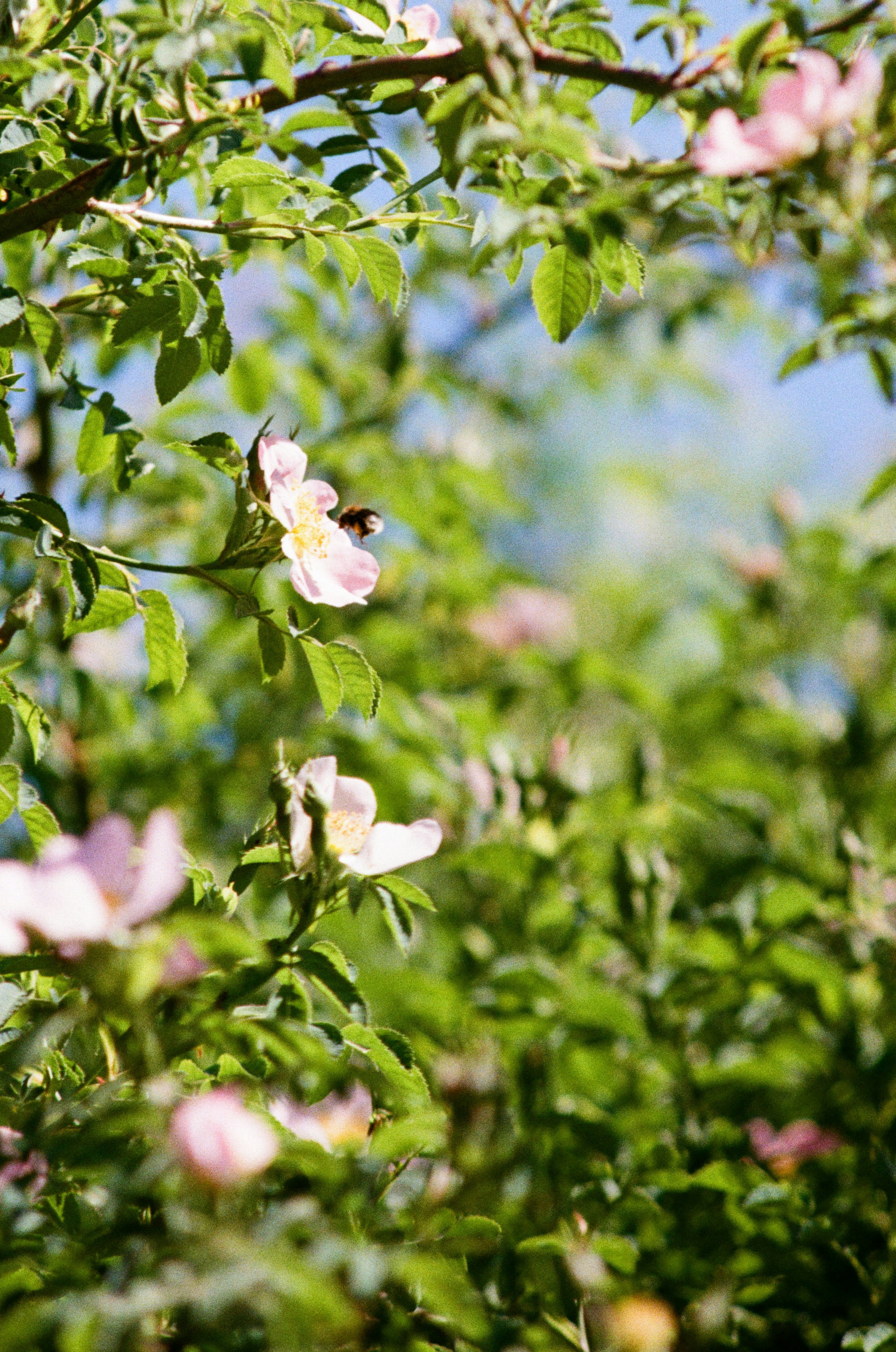 Photo by bernhardbar