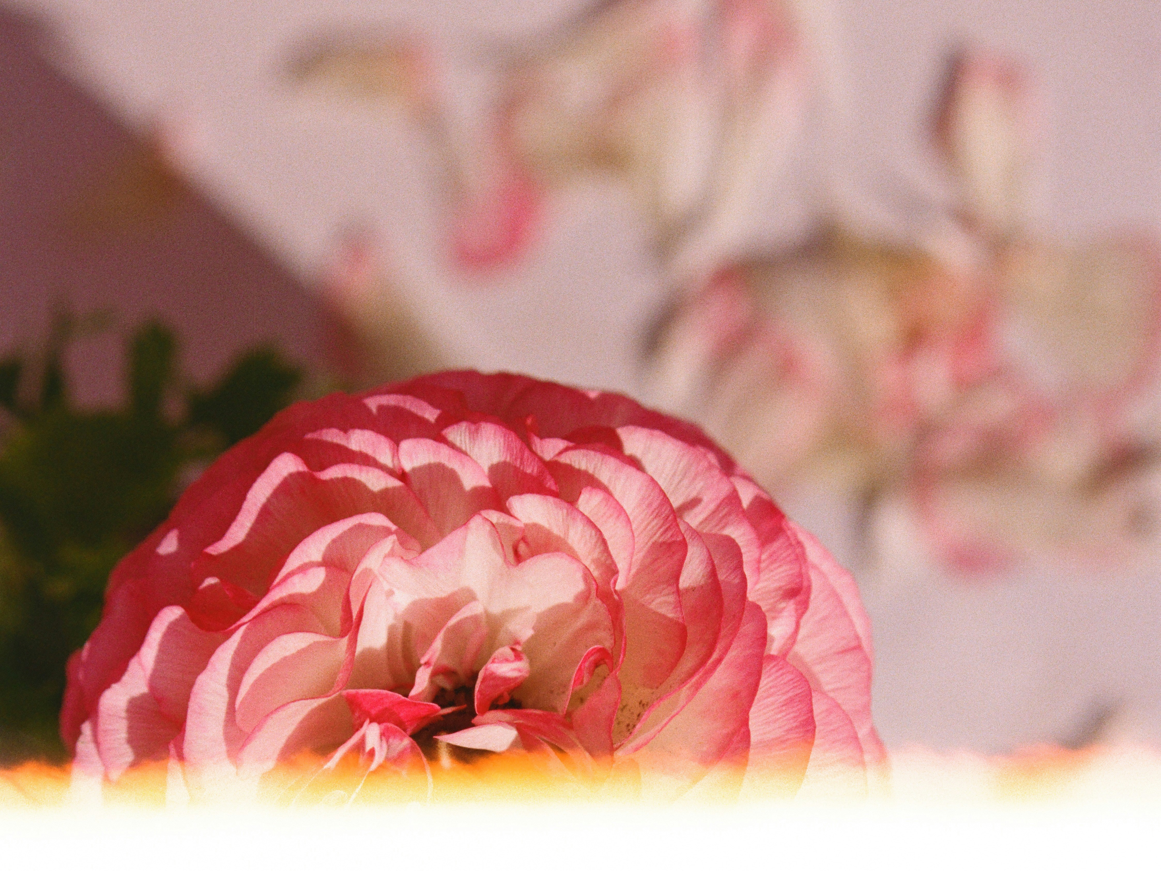 Photo by bernhardbar