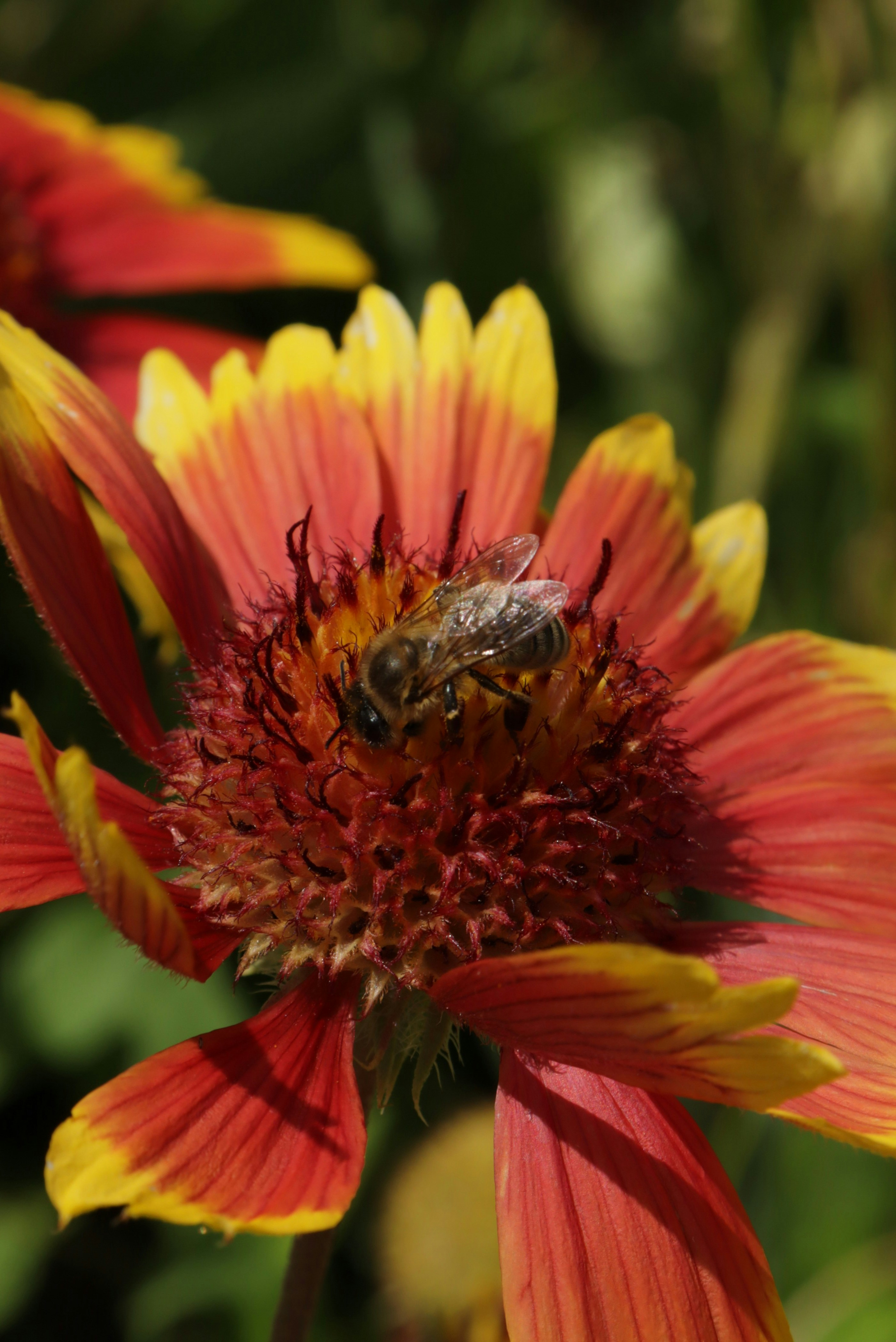 Photo by bored_mongoose