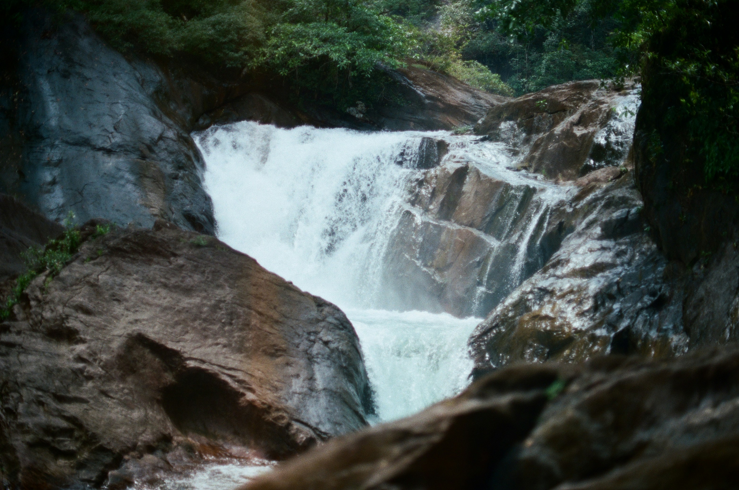 Photo by selinas_viewfinder