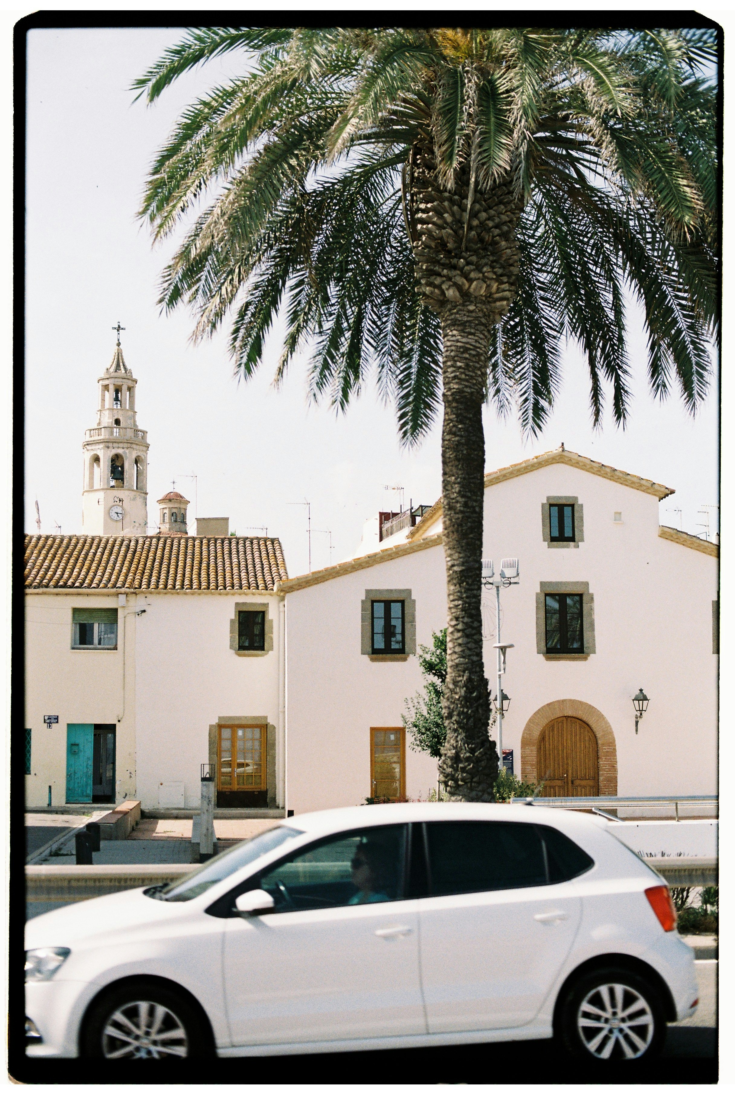 Palm-Mar
