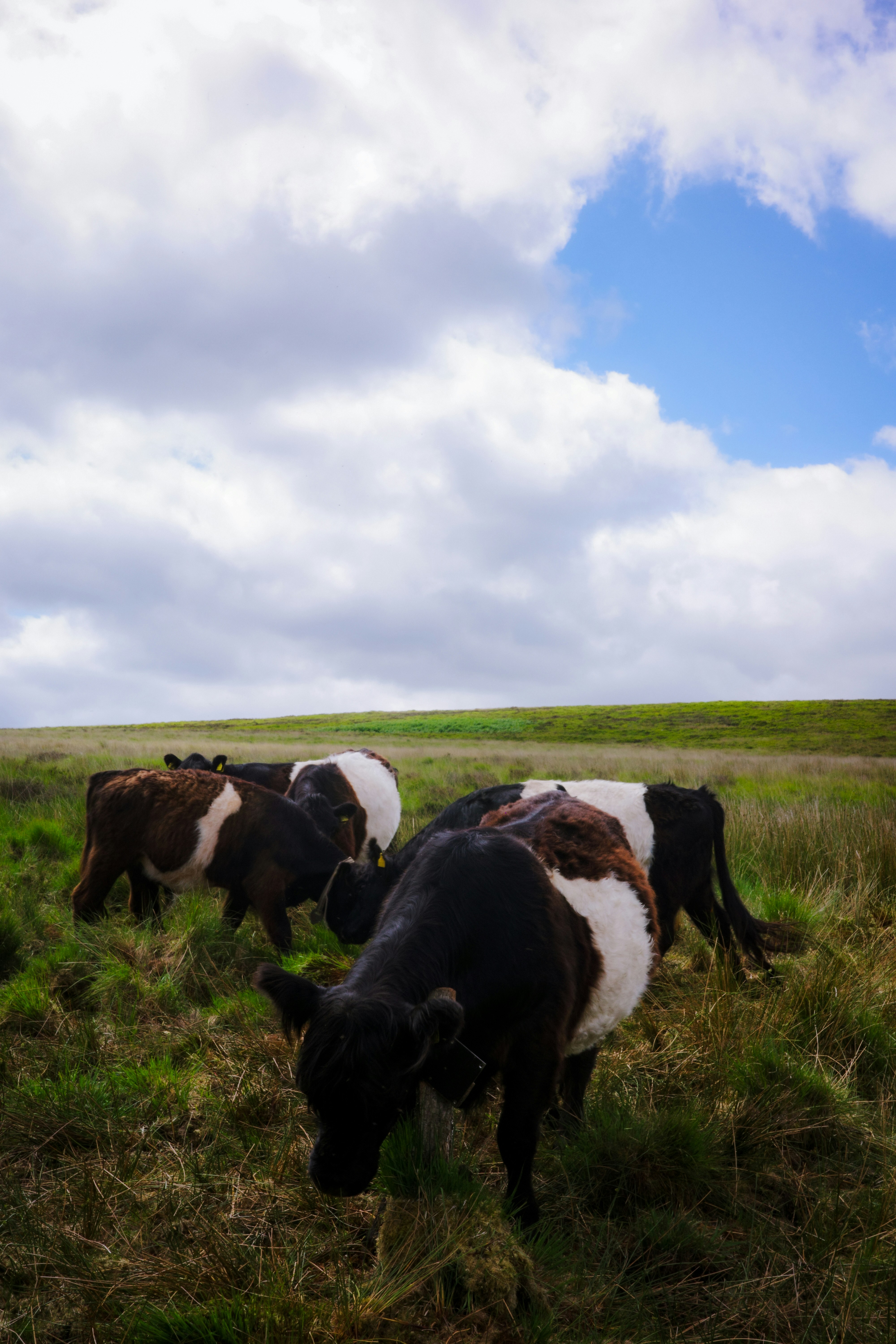 Photo by jamiekettle10