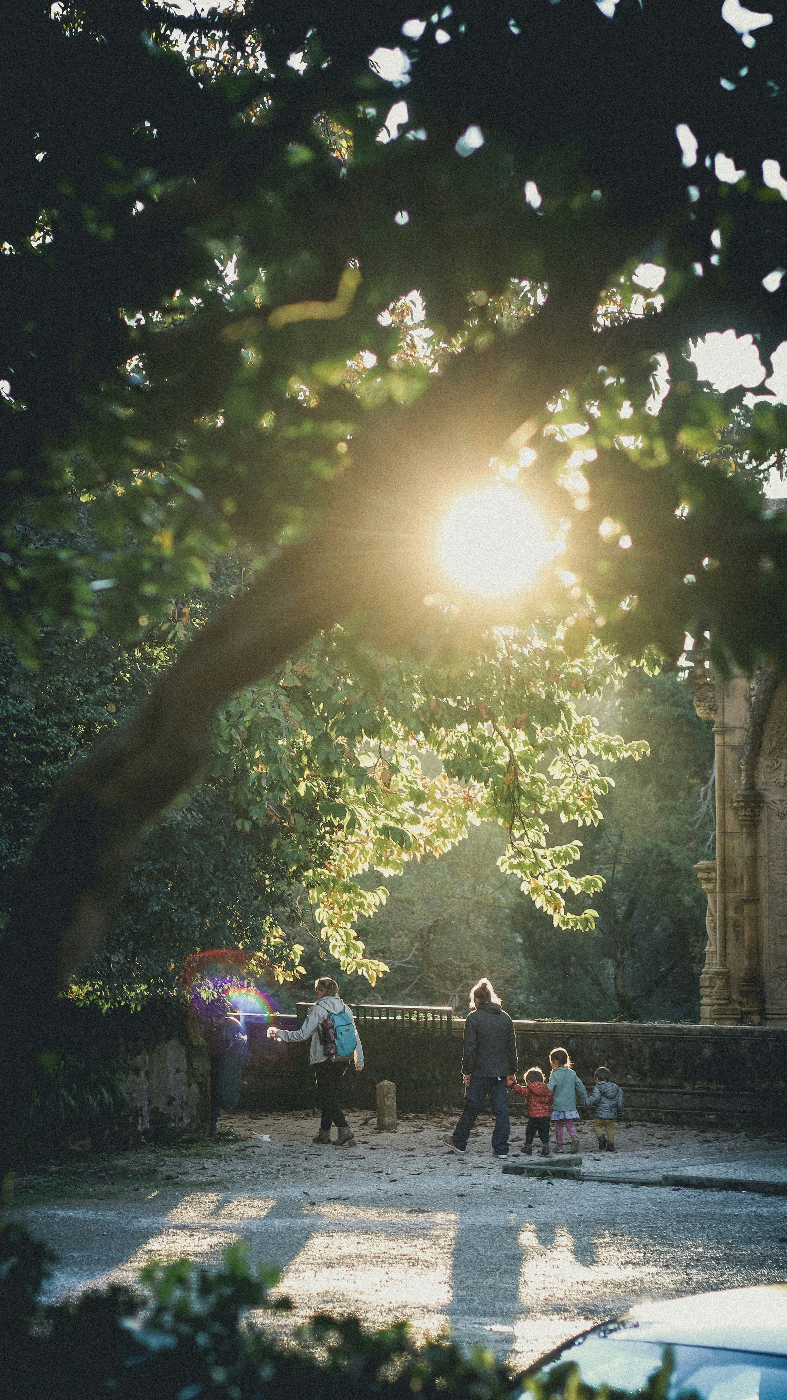 Sunlight shines on people in a park.