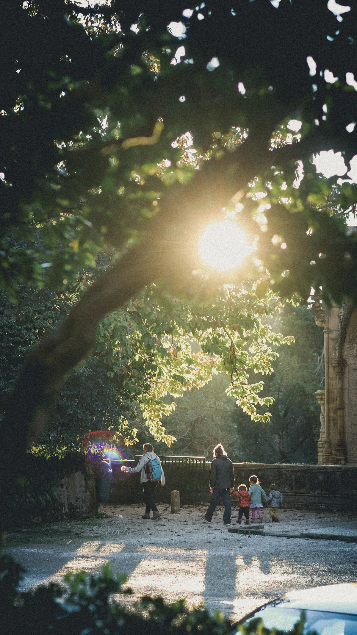 Família com crianças num parque cheio de árvores, com luz dourada de fim de tarde, em Luso