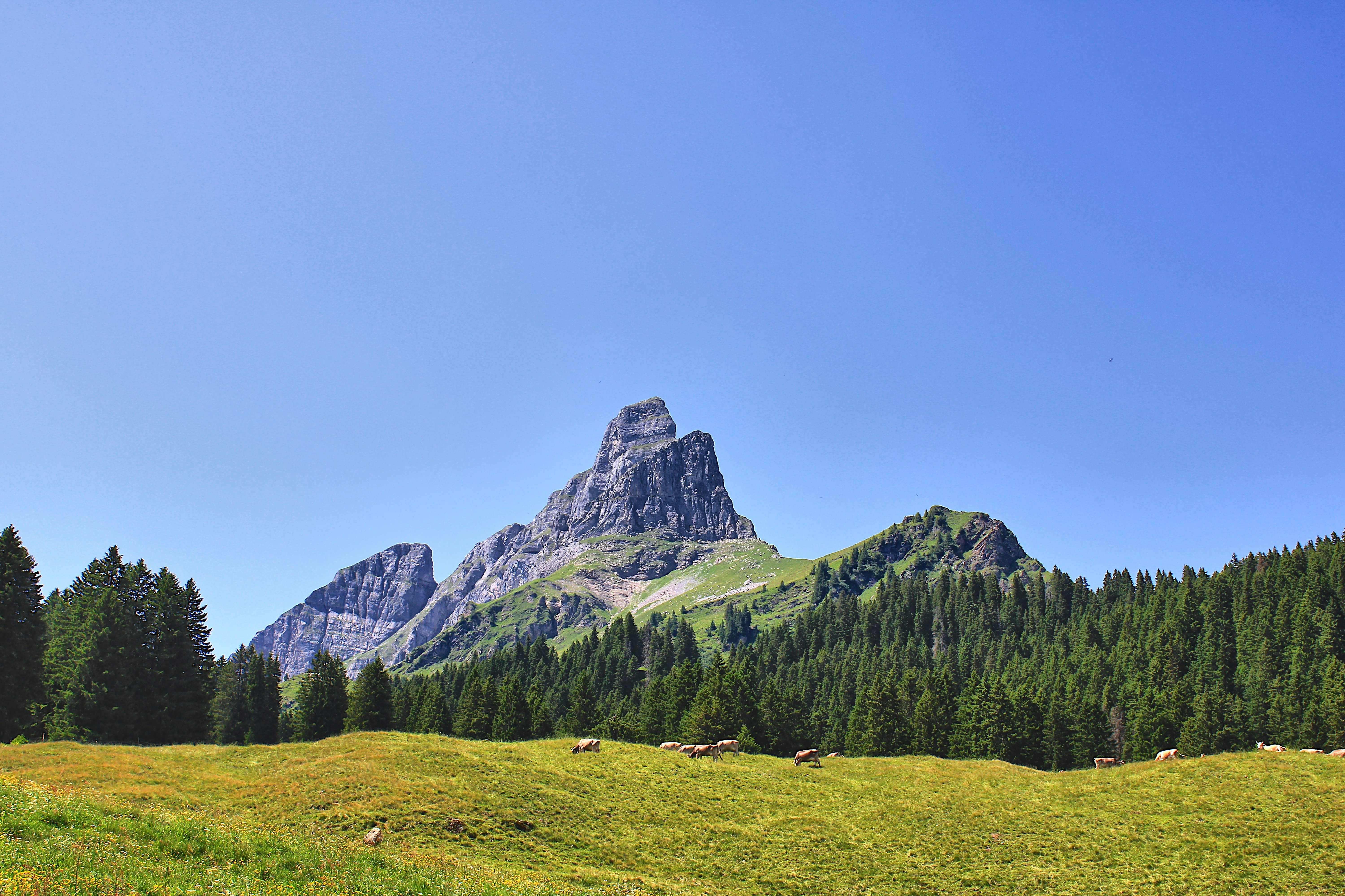 Photo by appenzellmoto