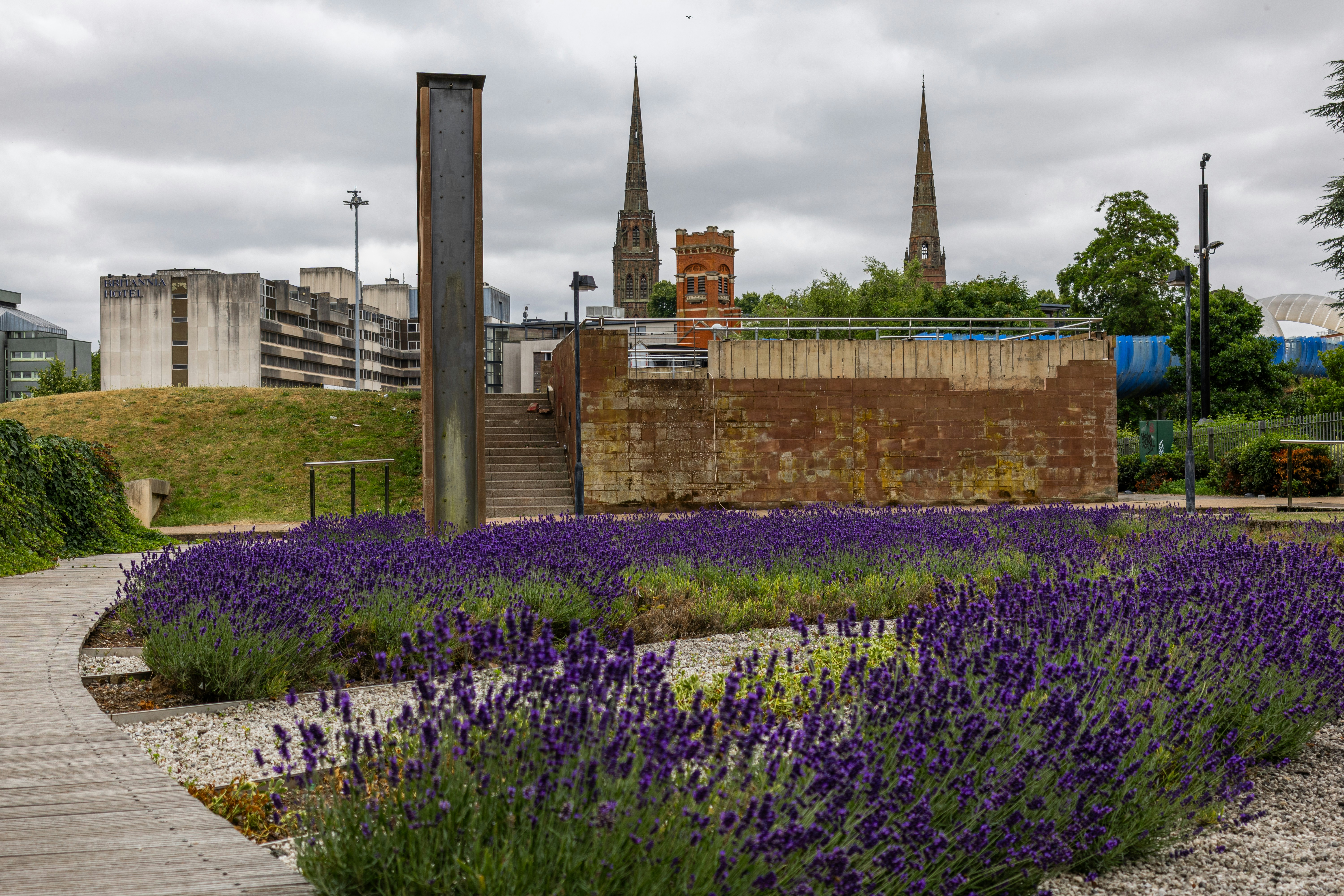 Photo by matty_pearce