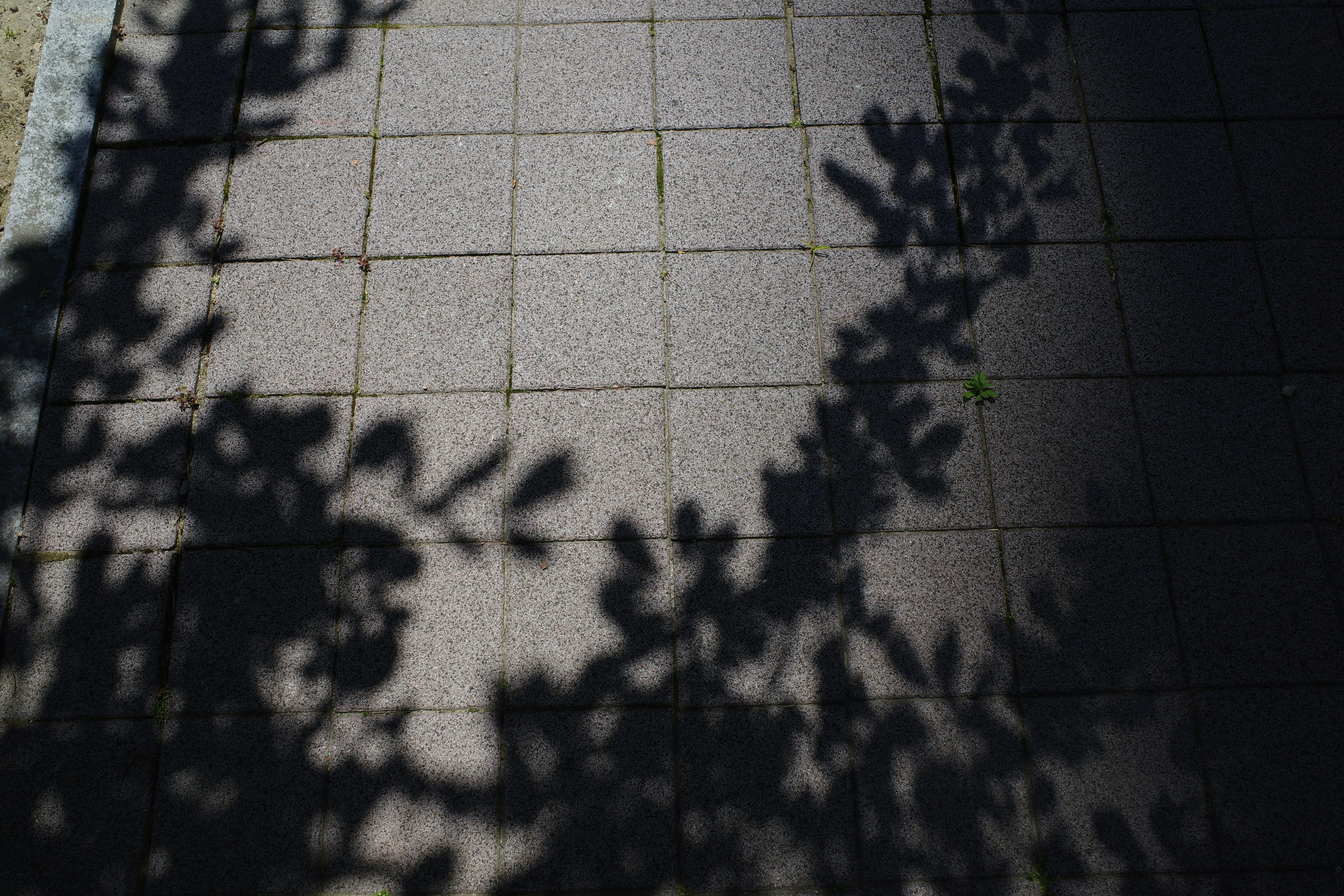 Photo by seunghoparklee