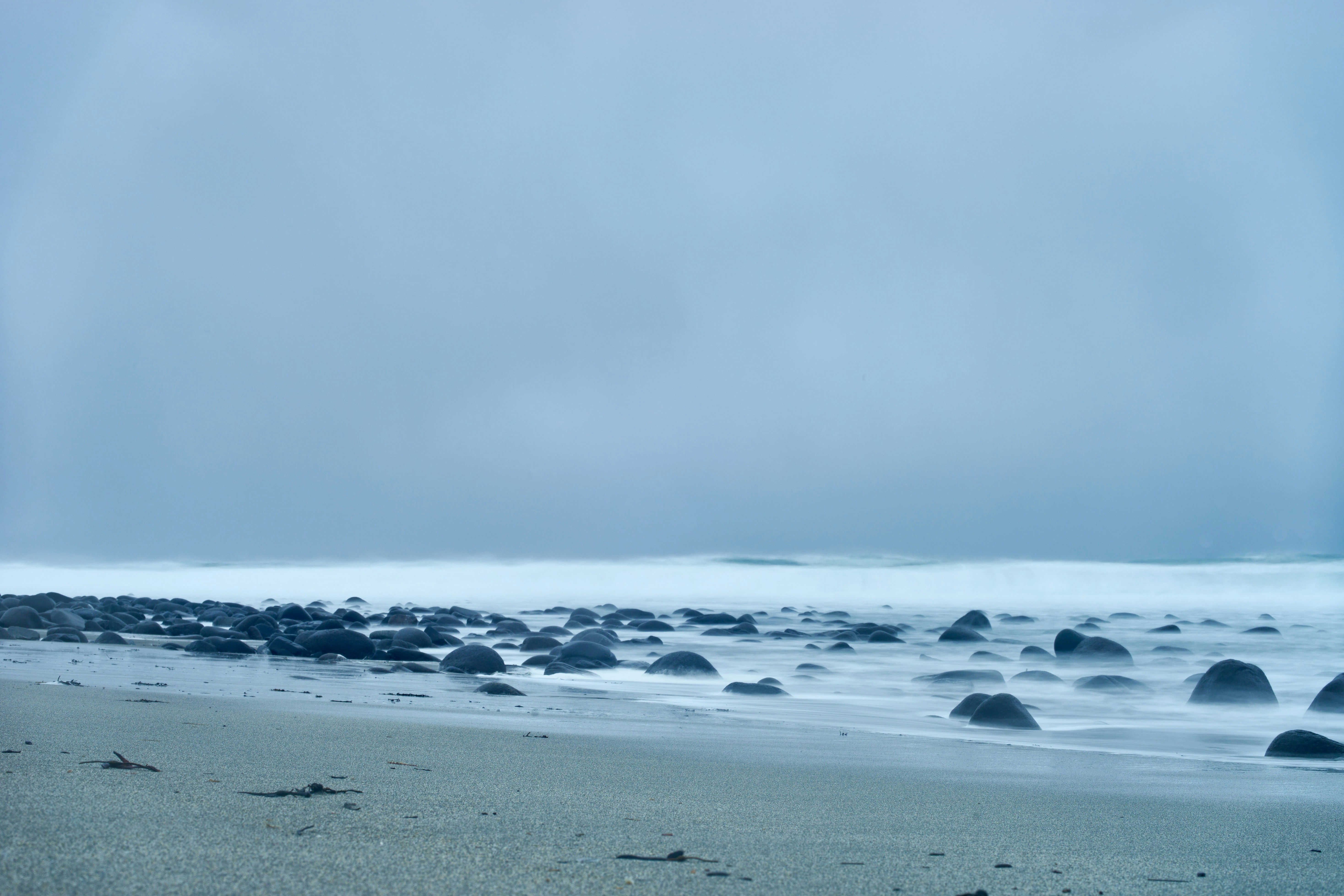 Photo by wolfgang_hasselmann