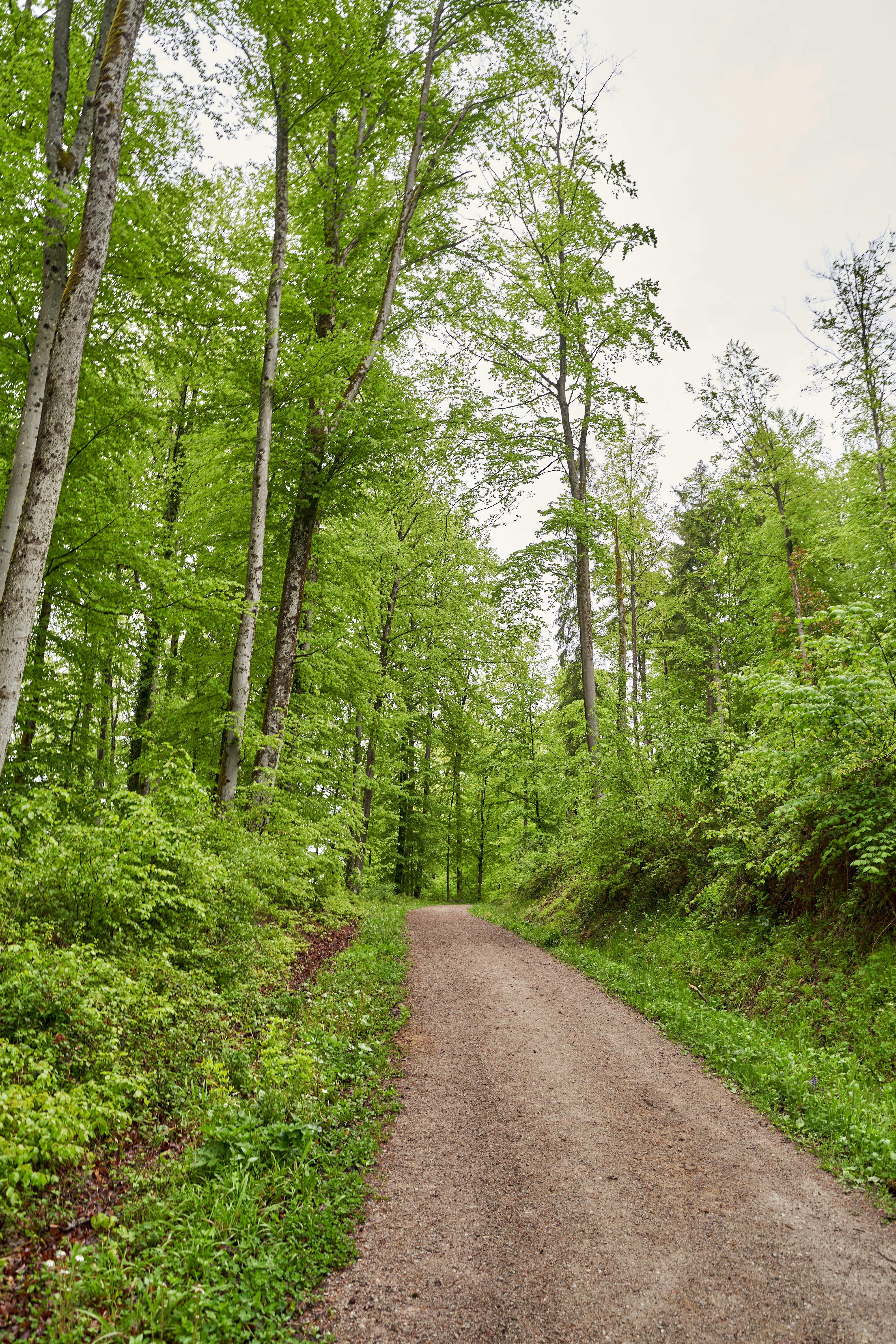 Photo by wolfgang_hasselmann