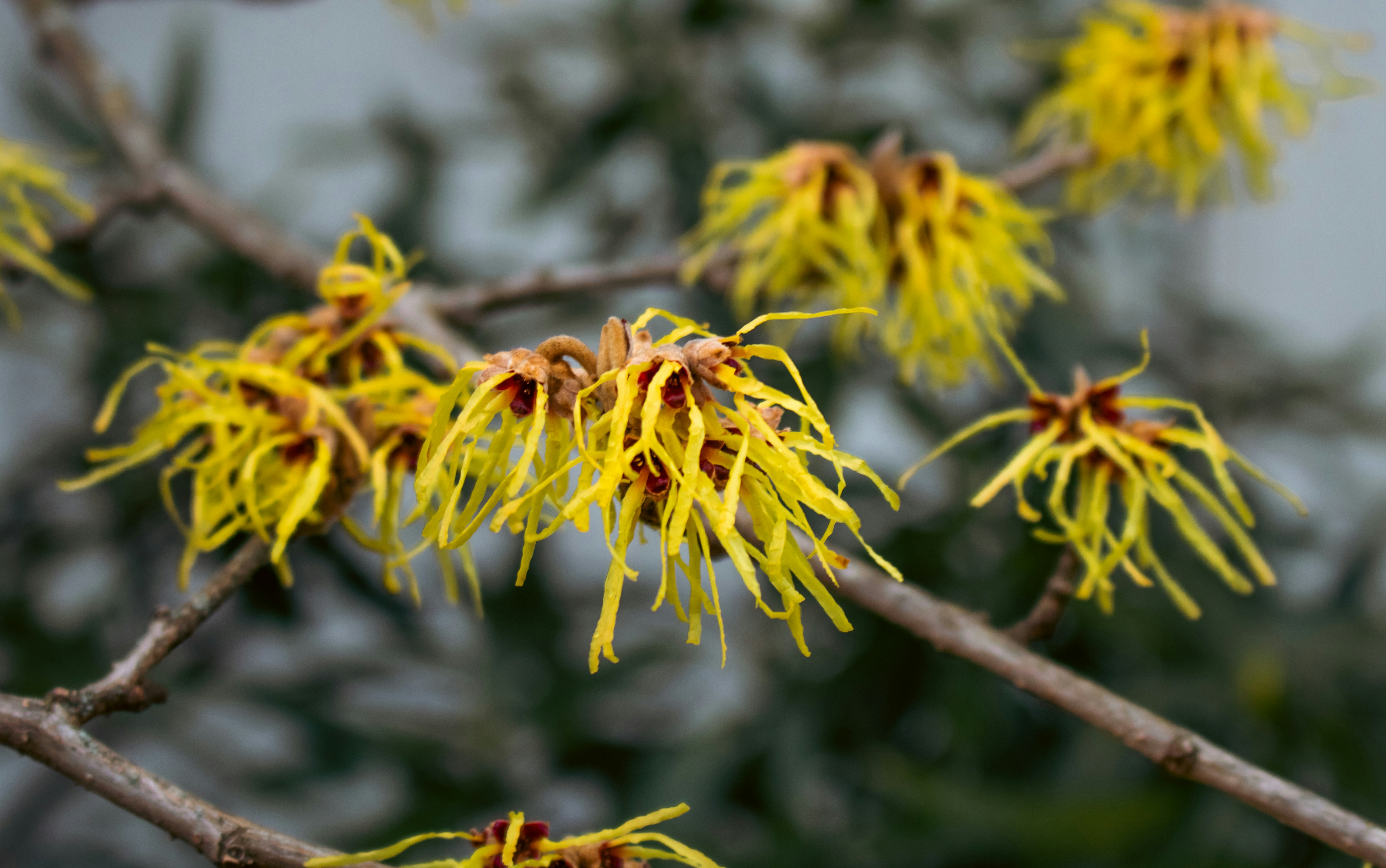 Photo by zoshuacolah